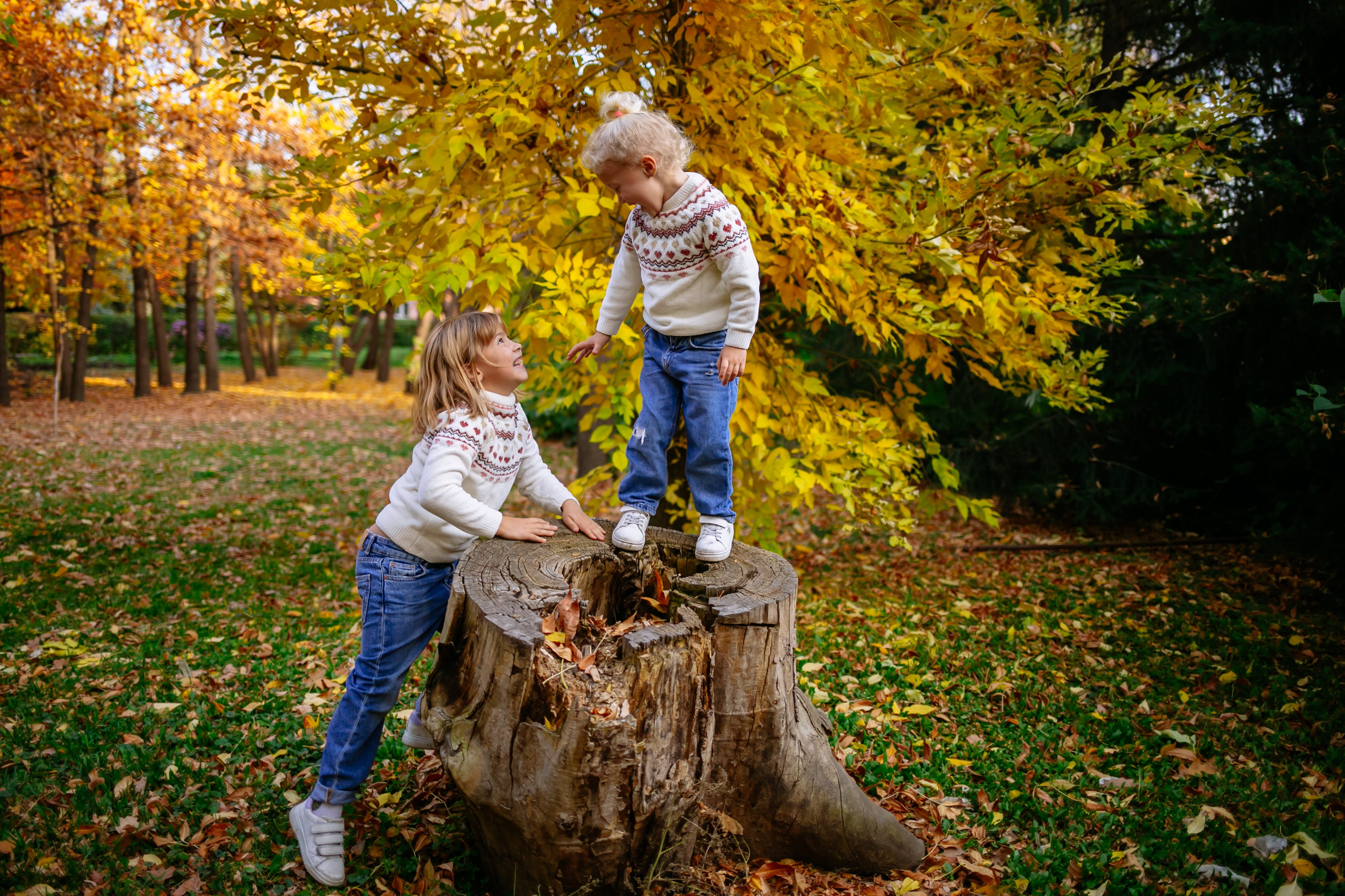 Юля, Анюта, Есения