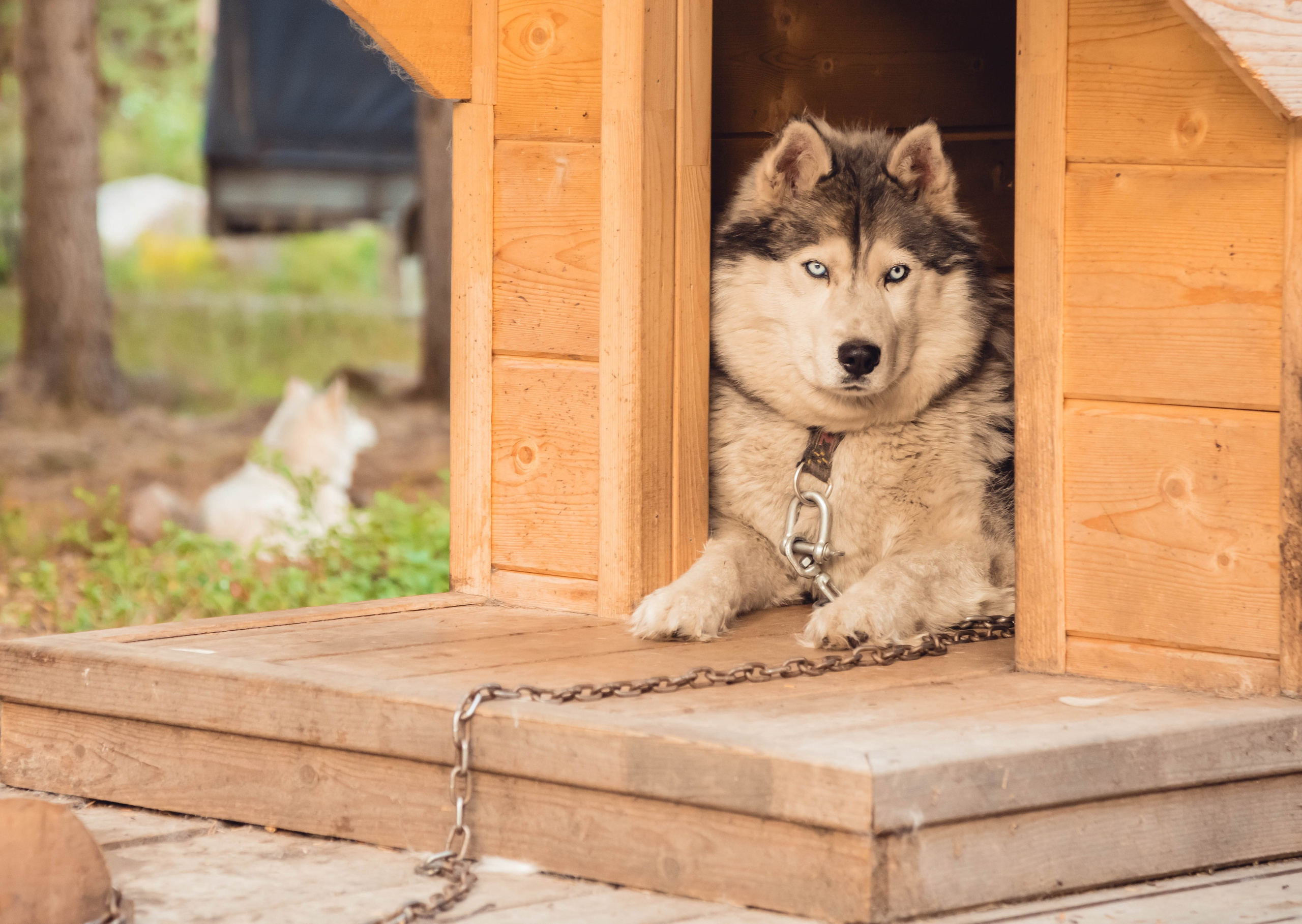 Кольский полуостров. Фотографирую для себя, своей семьи и друзей!