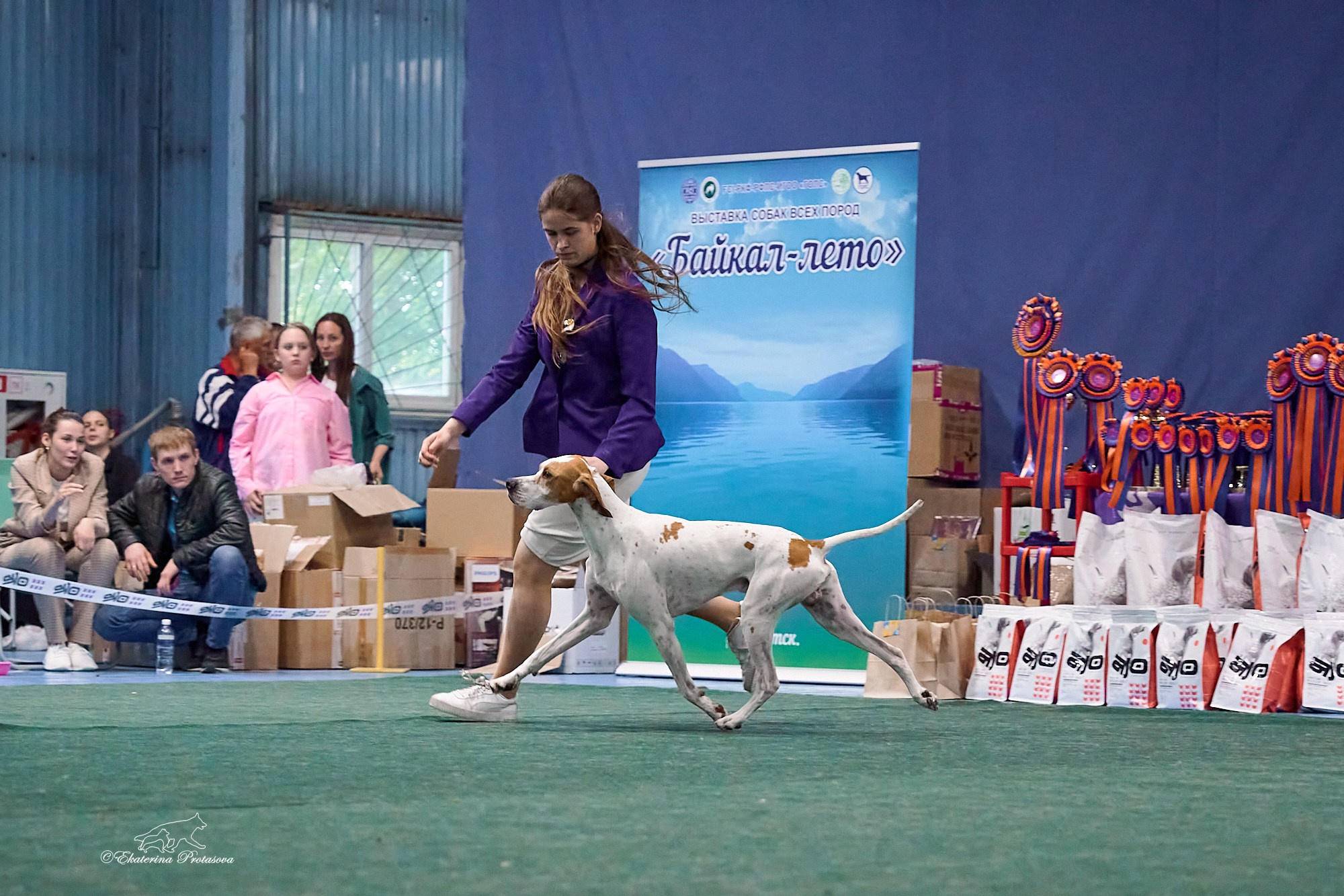Выставки разное. Фотограф-анималист в Иркутске
