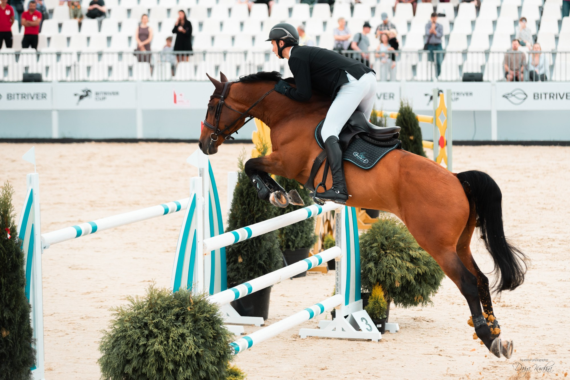 BITRIVER CUP 2023. Конный фотограф Куракина Дарья • Фотосессии с лошадьми