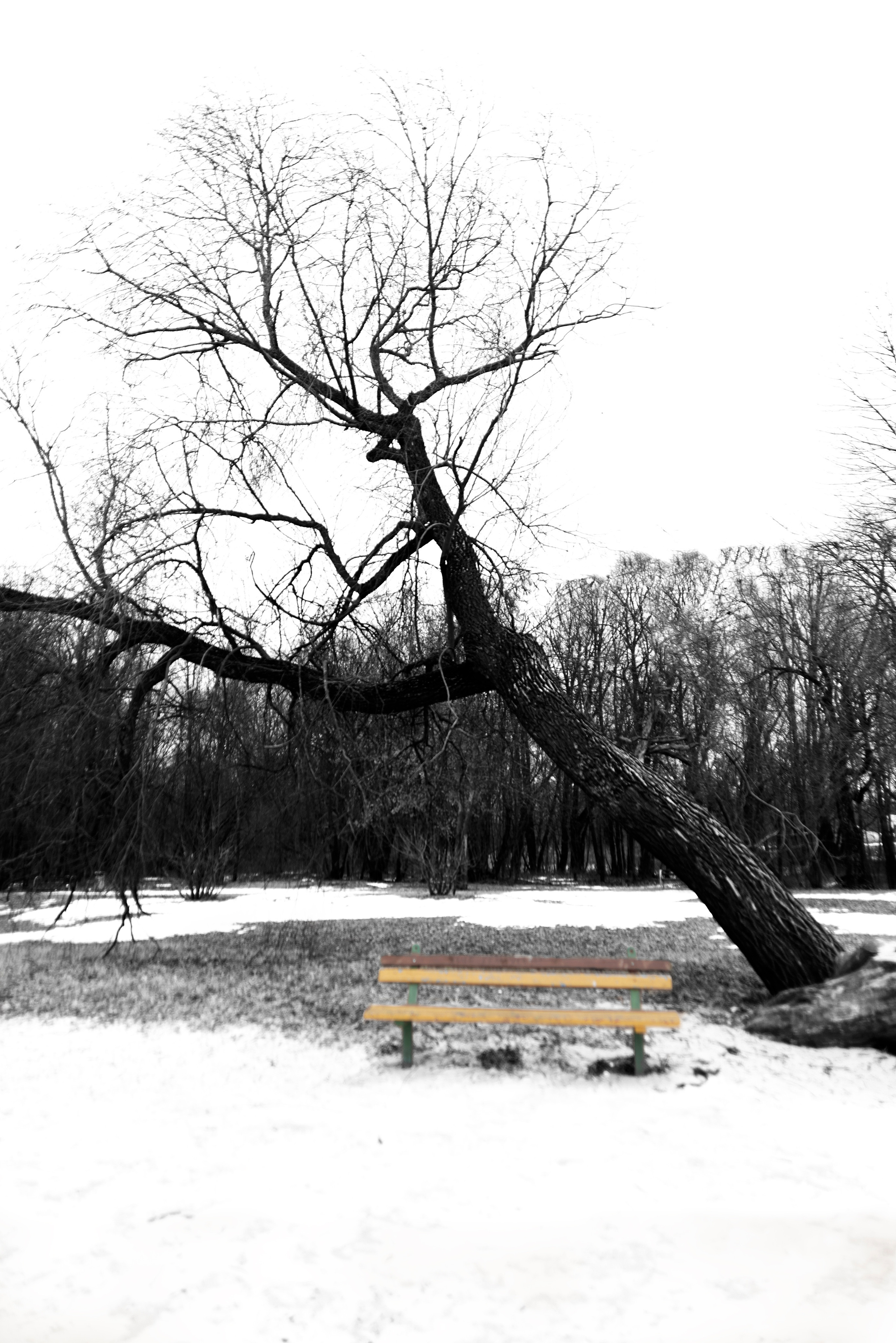 ЧБ  пейзажи (BnW landscape). Фотограф (photographer) Lischinski Vitaliy