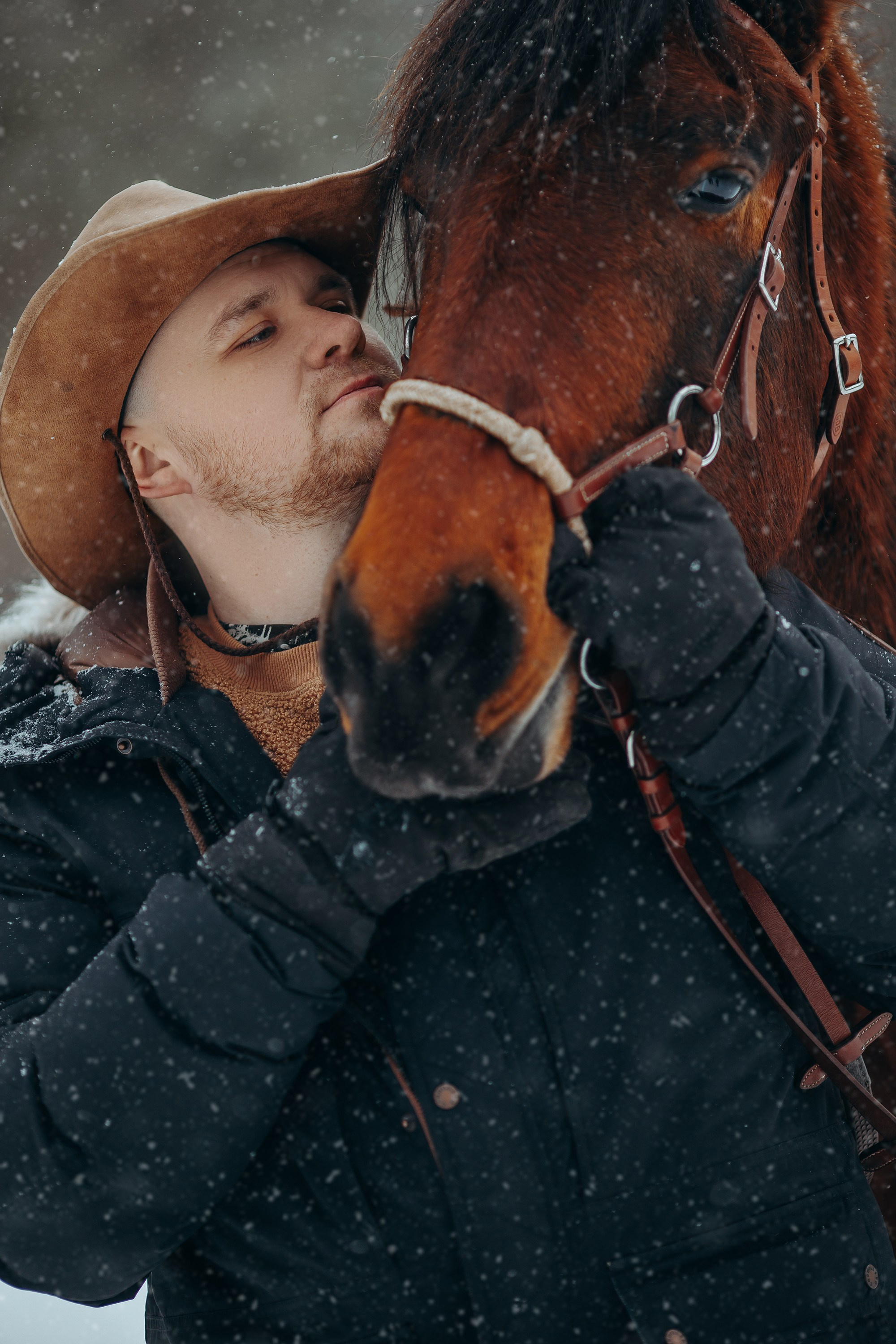 Снежная история. Анна Молчанова конный фотограф в Тюмени | фотосессии с лошадьми Тюмень