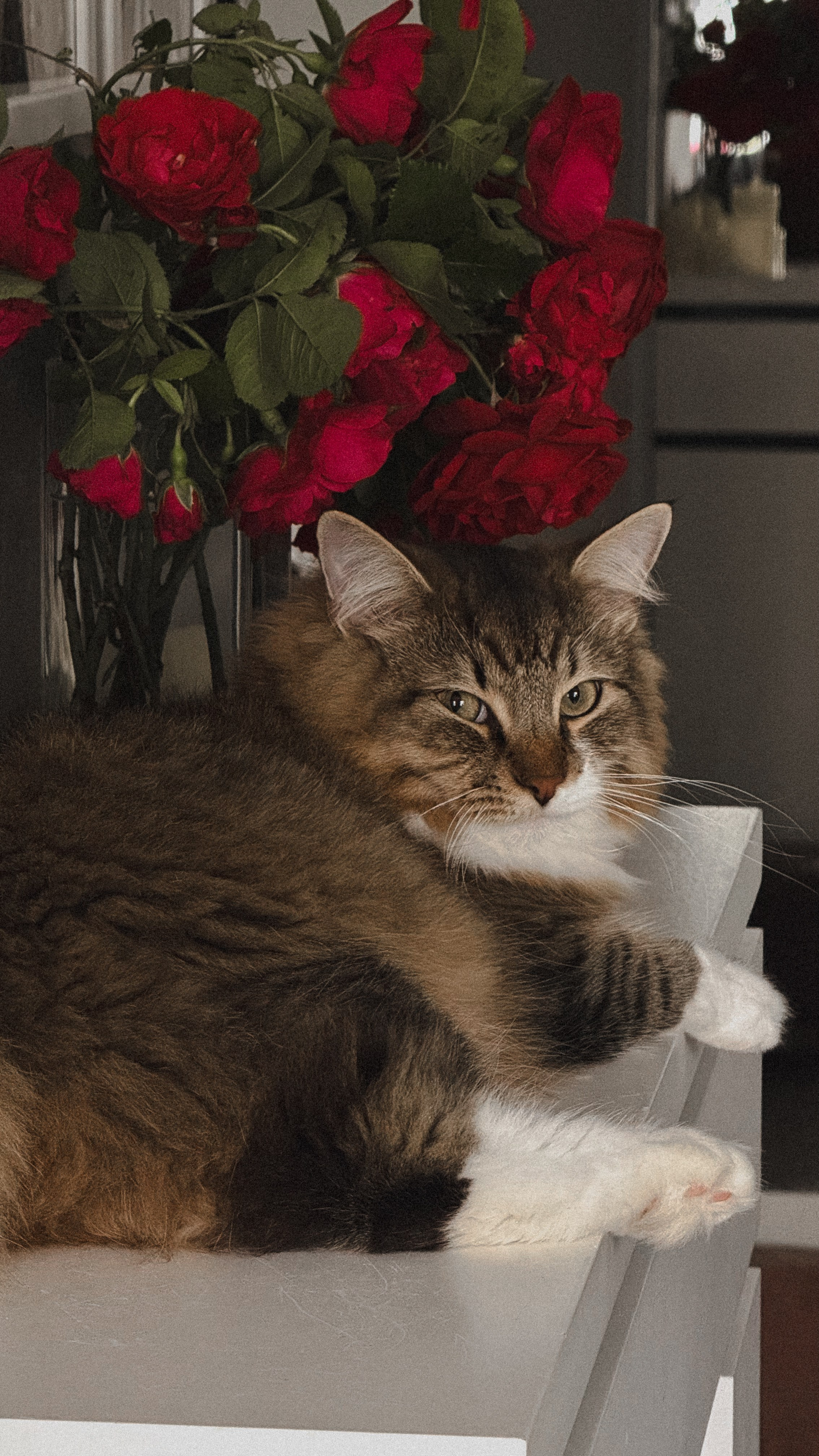 СЕЛФИ. Фотограф Санкт-Петербург