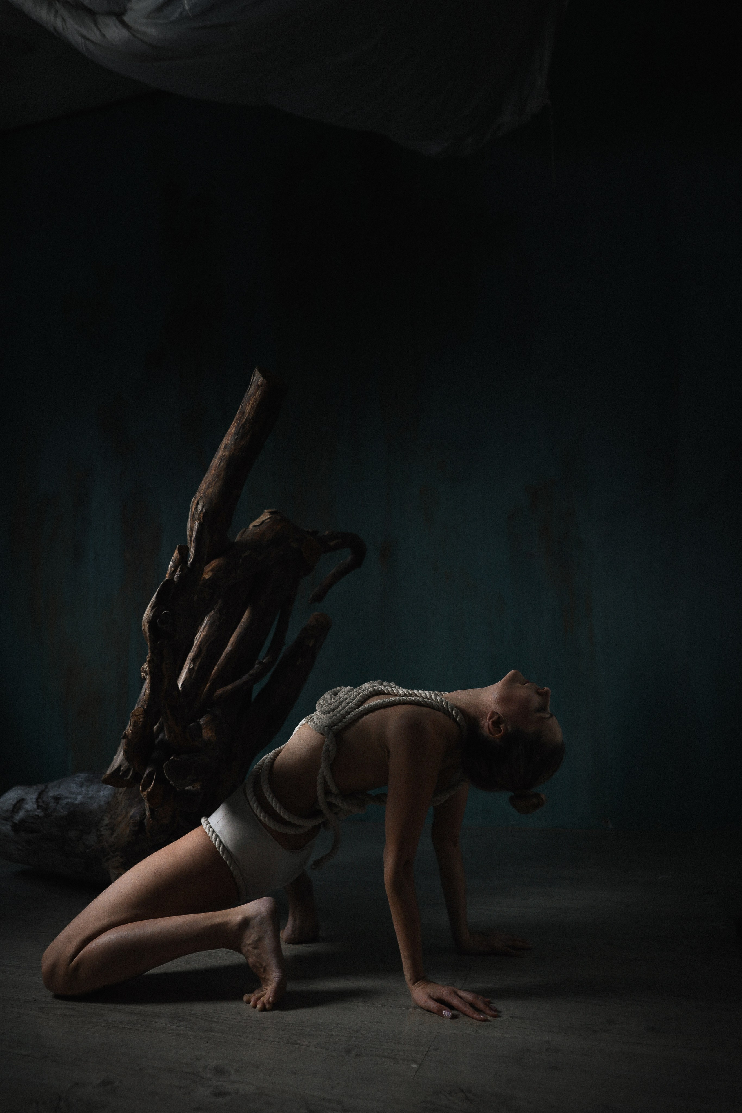 Wild dance. Евгения Волошина Фотограф Москва / Белгород