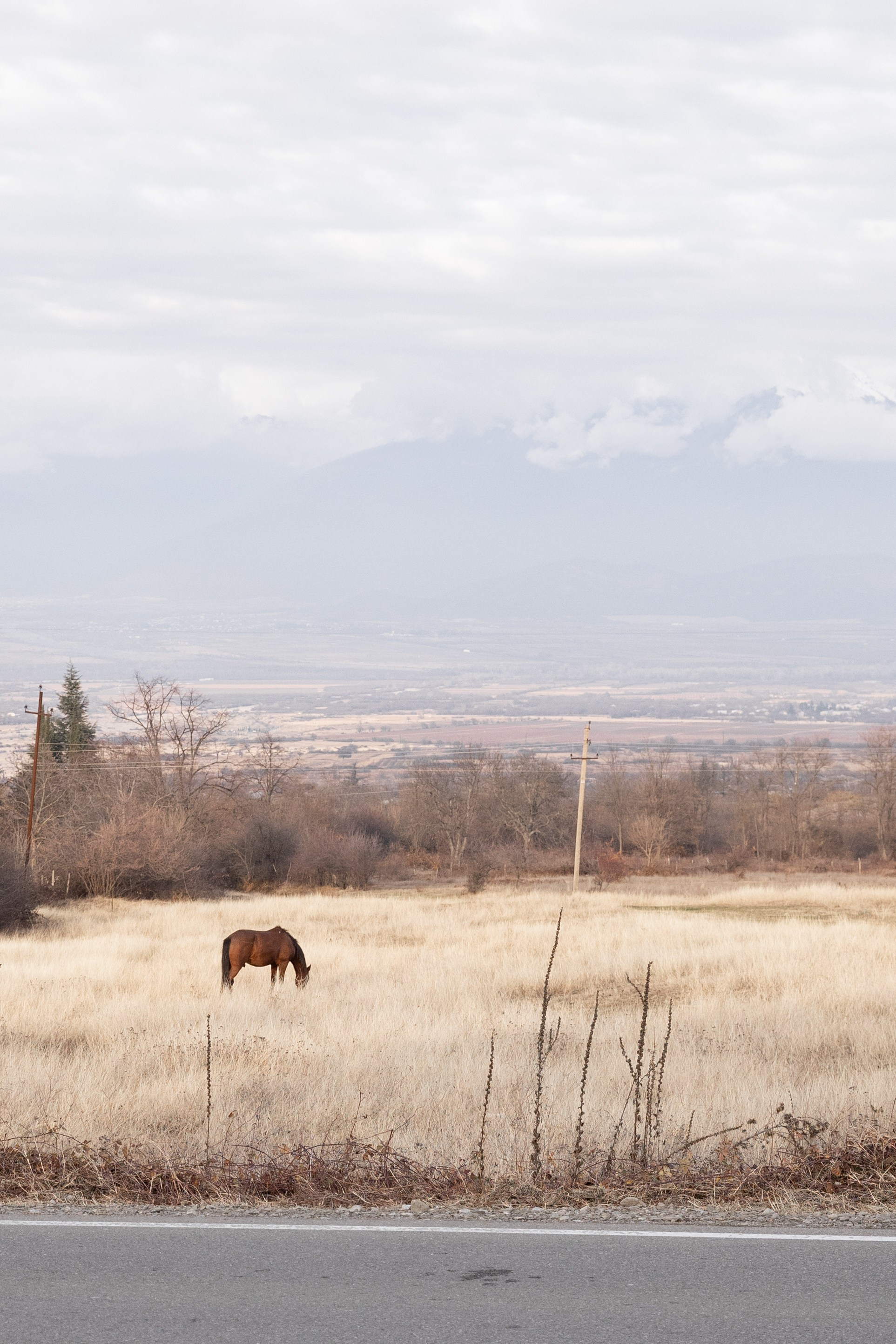 Богдан & Алина. Kondakovaa.ph | Фотограф в Москве