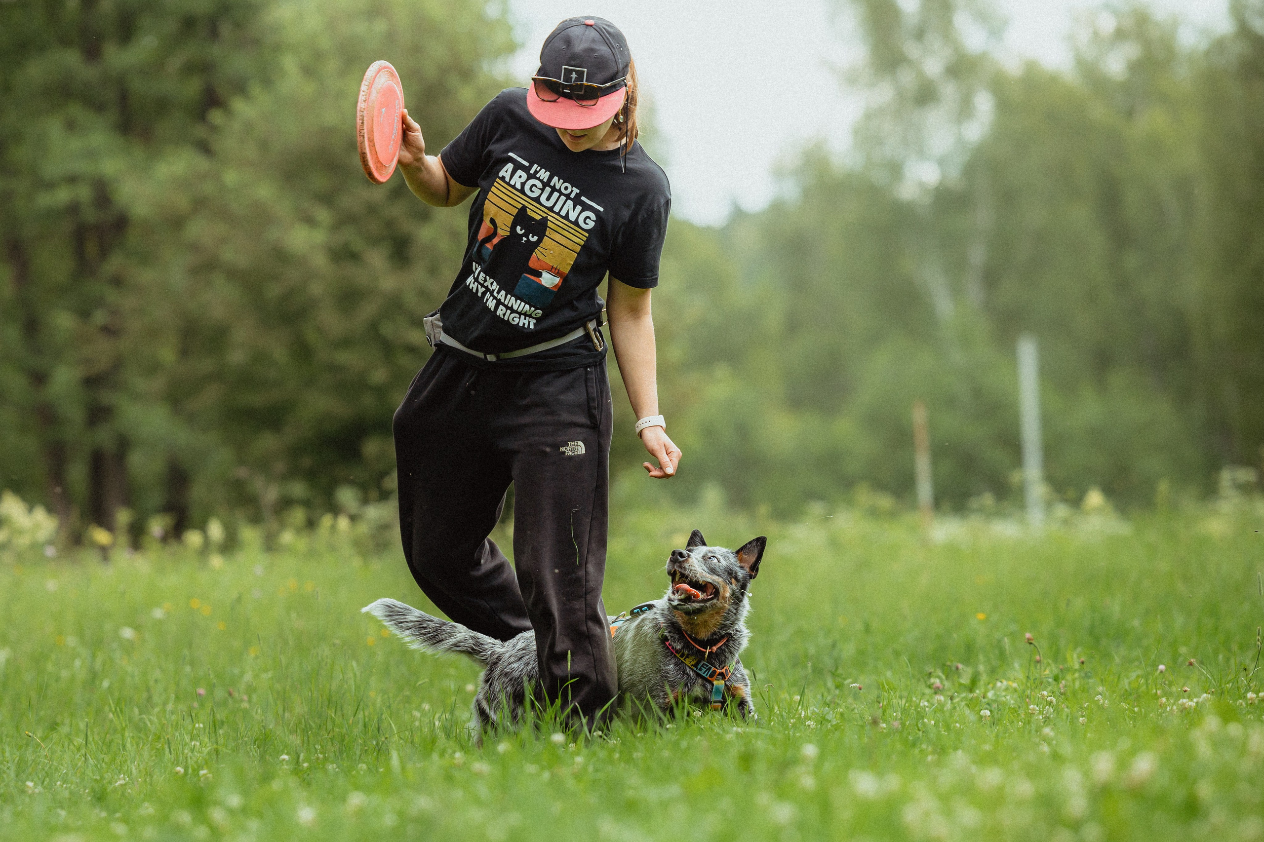 Выездной дог-тренинг от школы «Шерсть имею»