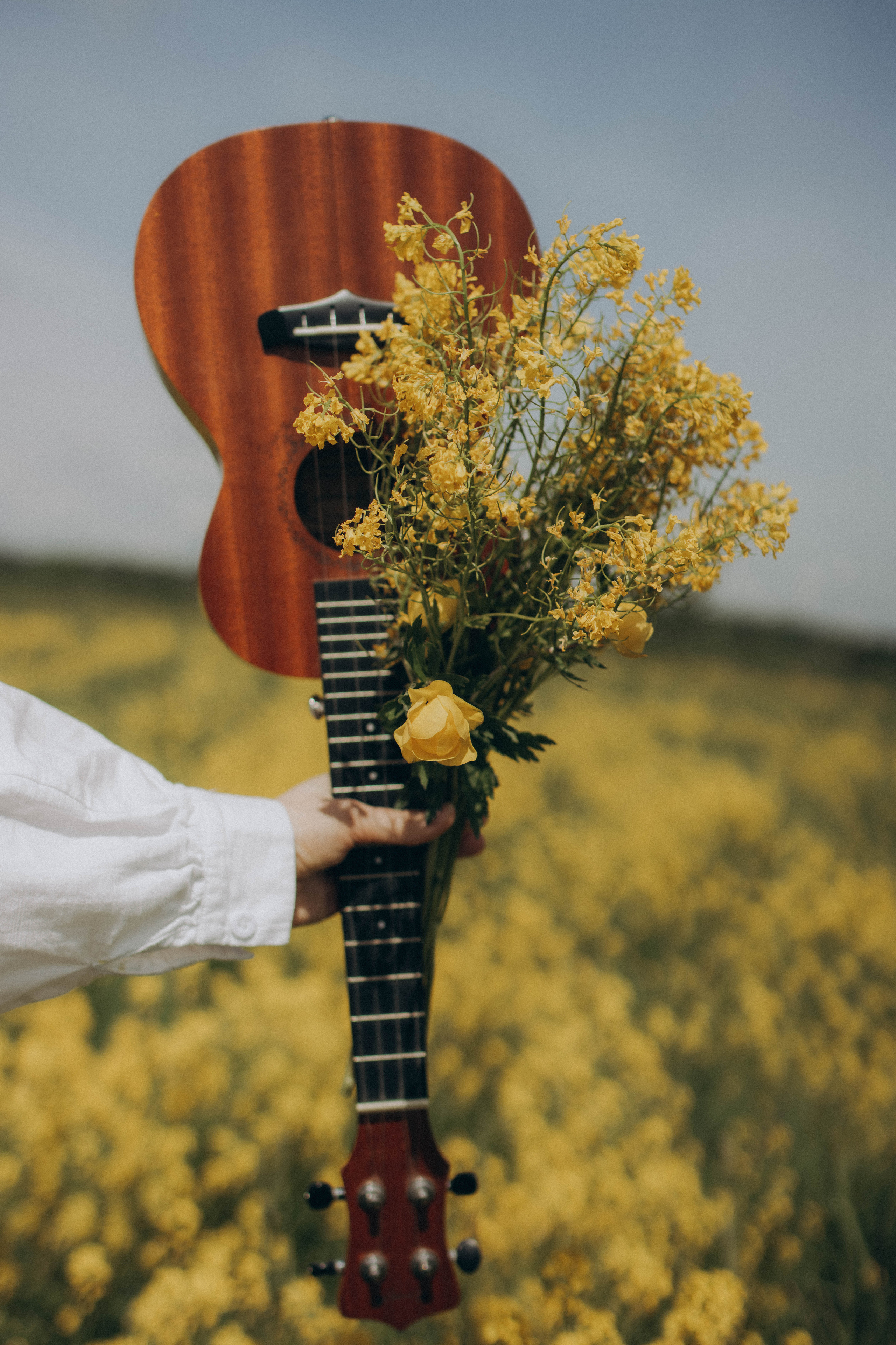Золото майских полей. Фотограф в Санкт-Петербурге Ольга Гиляревская