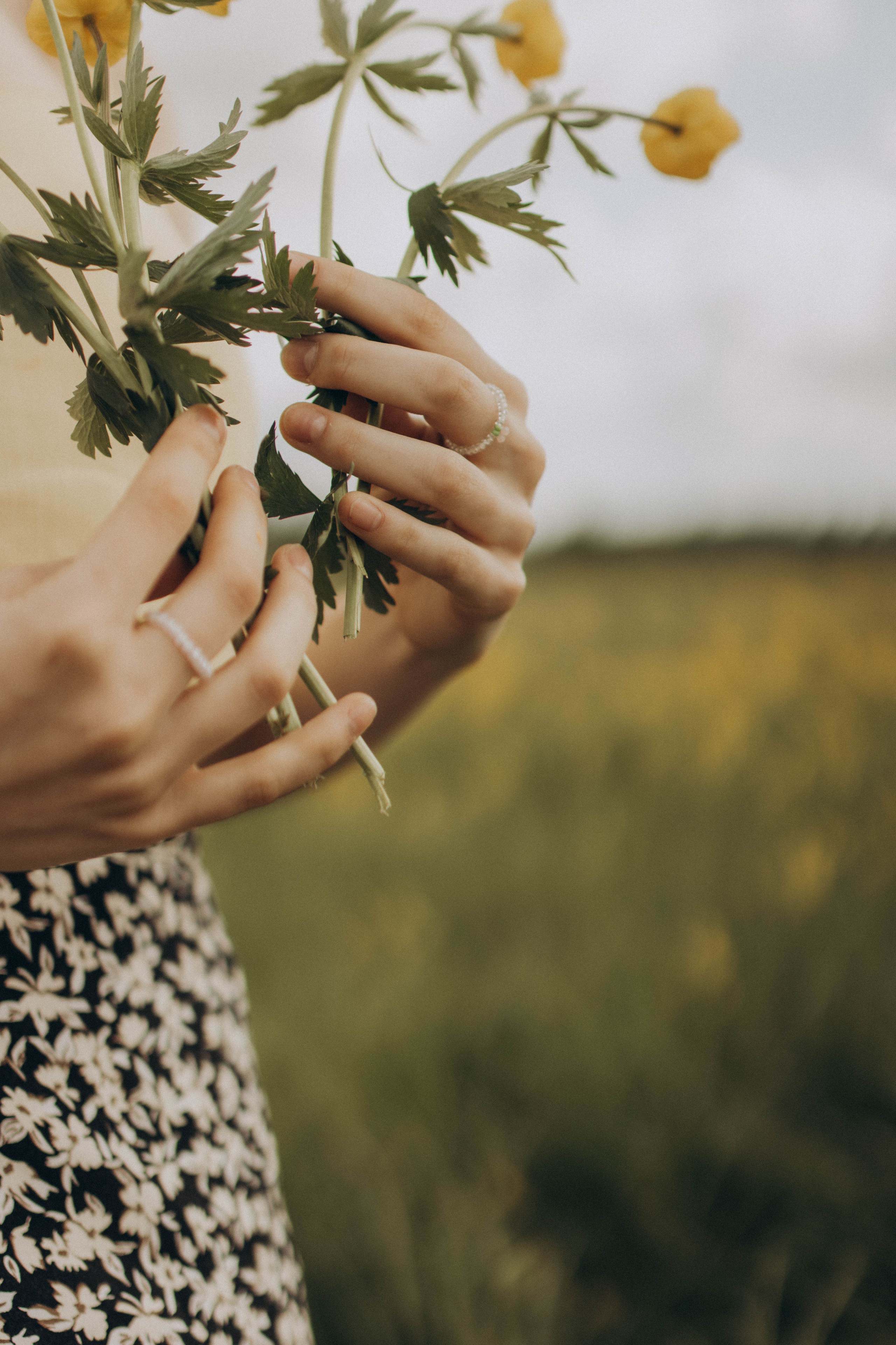 Золото майских полей. Фотограф в Санкт-Петербурге Ольга Гиляревская