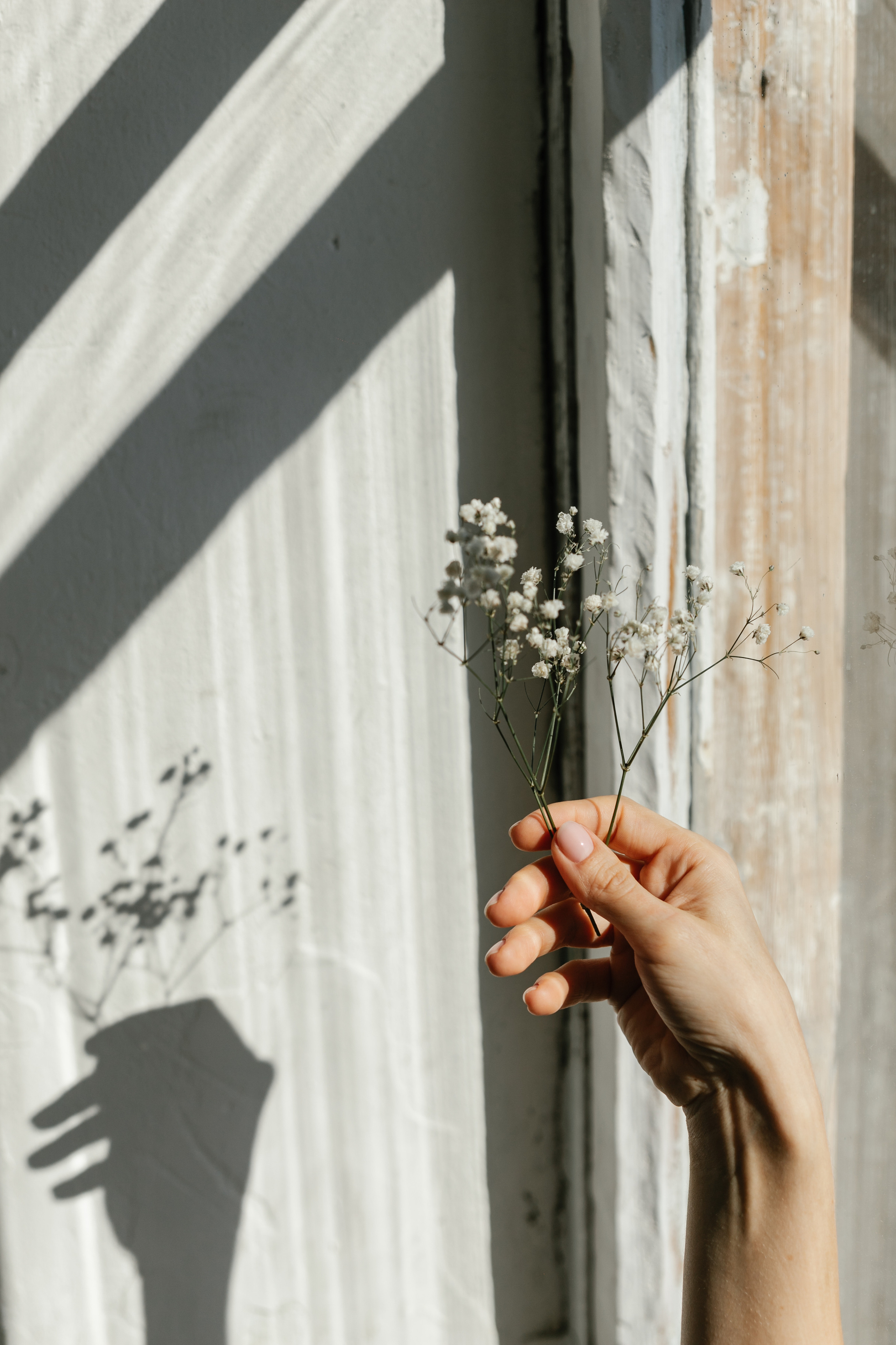 Маргарита. Семейный фотограф в г. Ростову-на-Дону Козлова Евгения