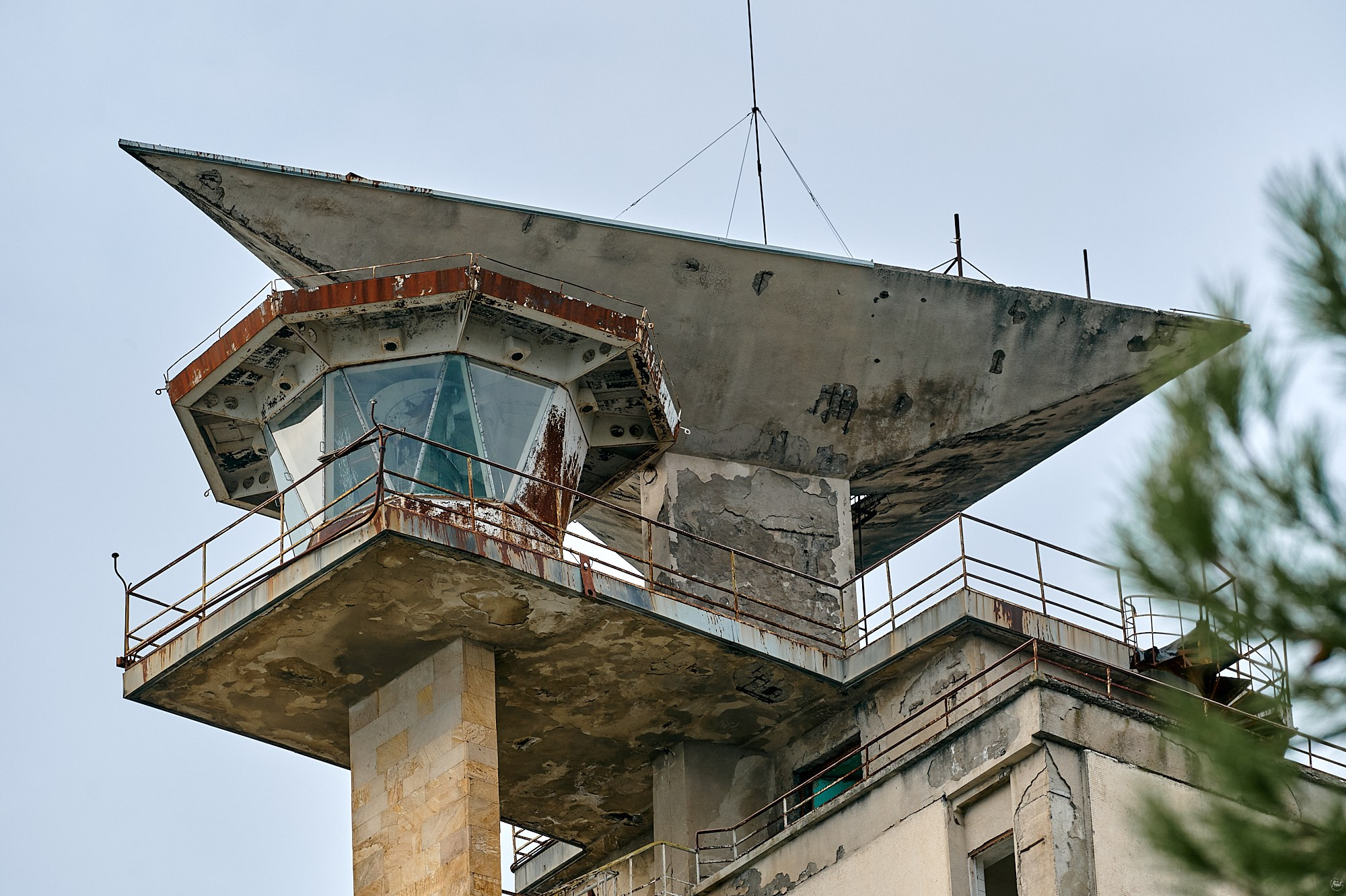 Пицунда, Абхазия. Декабрь 2024. Фотографии отовсюду и обо всем