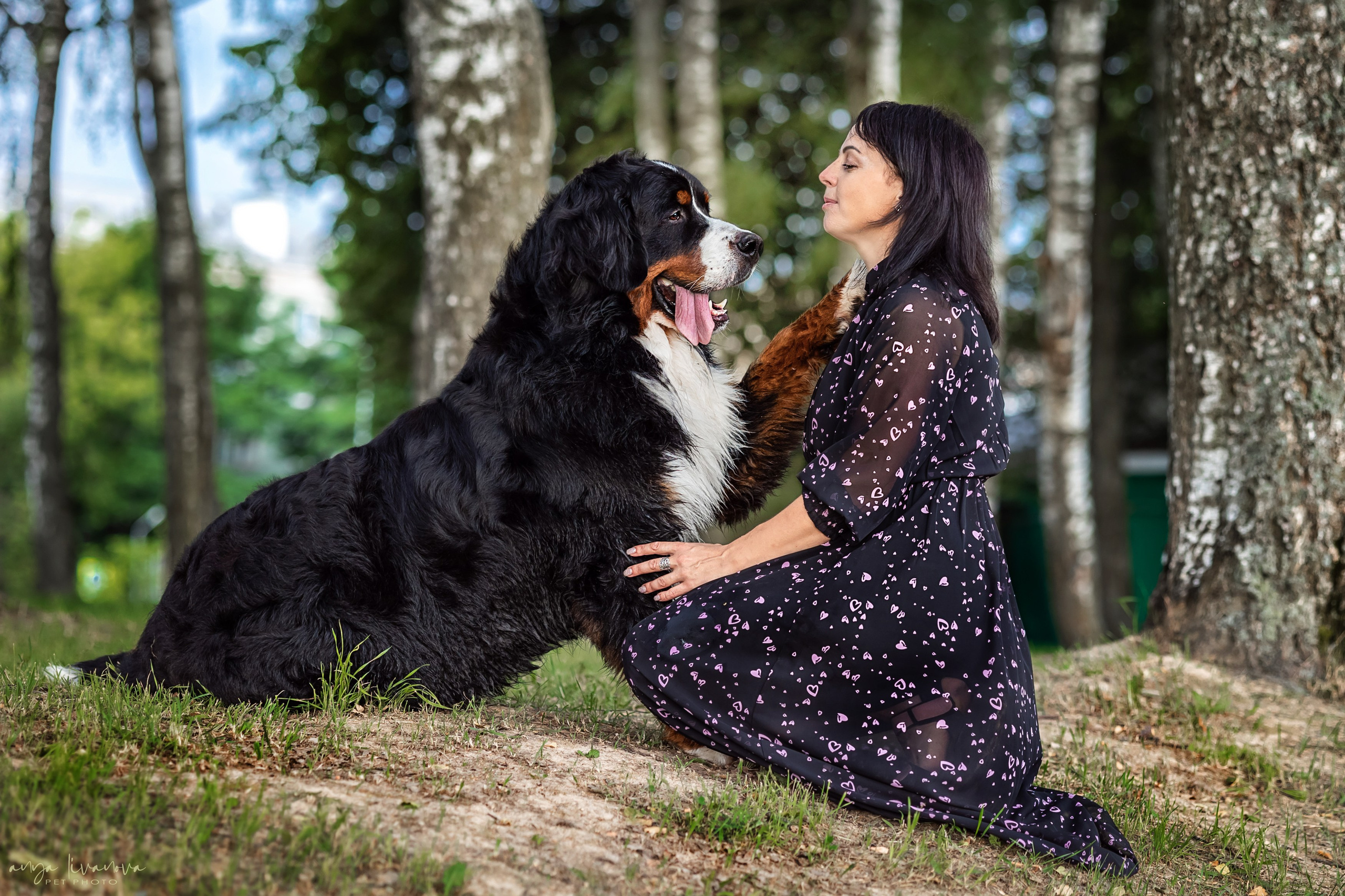 Маша и Буч. Фотограф анималист Аня Ливанова | Рыбинск