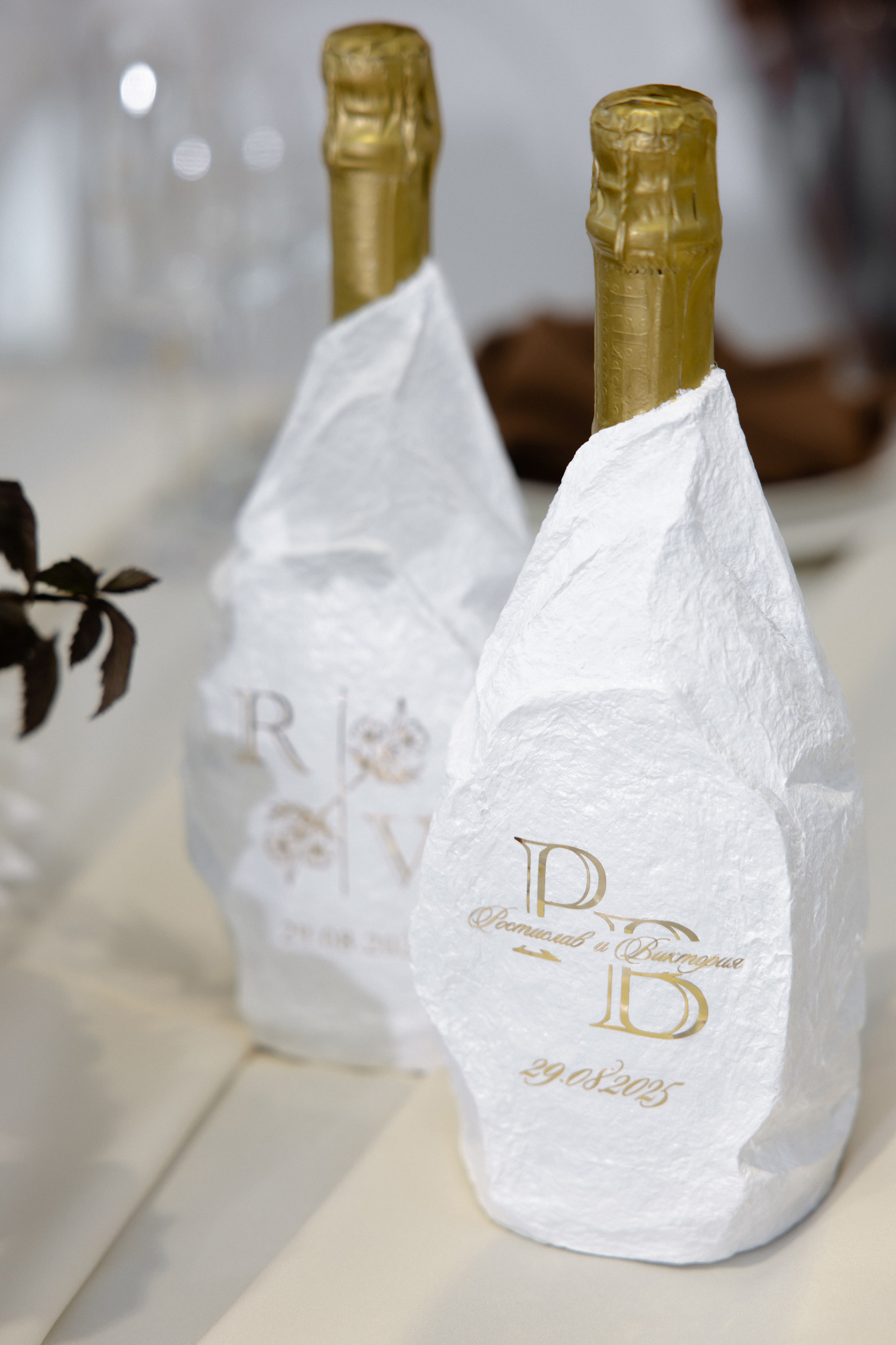 Ростислав и Вика. Свадебный фотограф Анна Бабахина