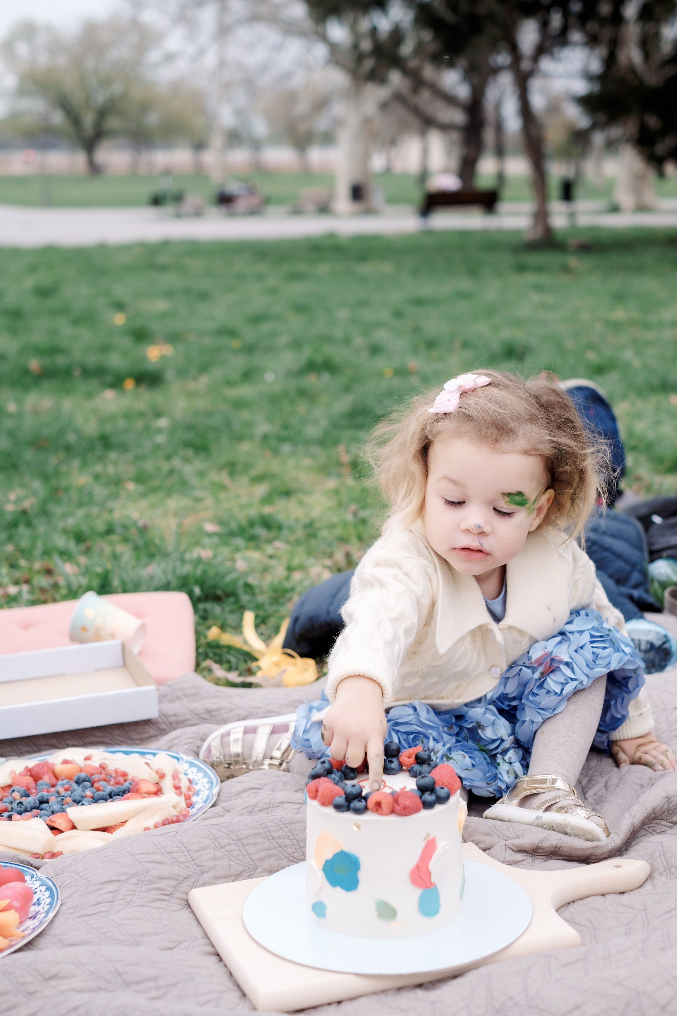 Пикник у Калемегдана. Фотограф в Белграде