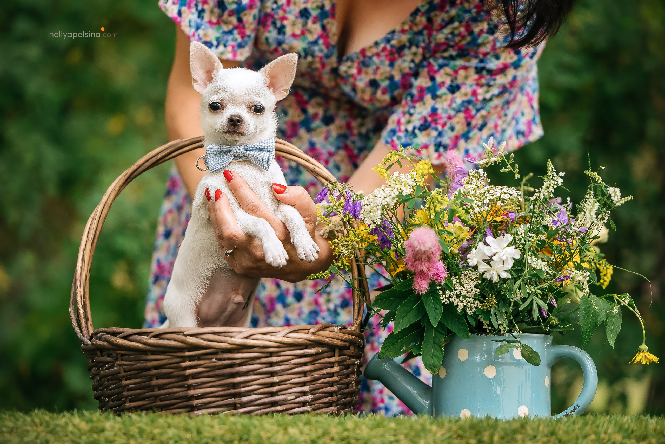 Юлия, Марсель и Маркиз. Фотограф Нелли Самойлова