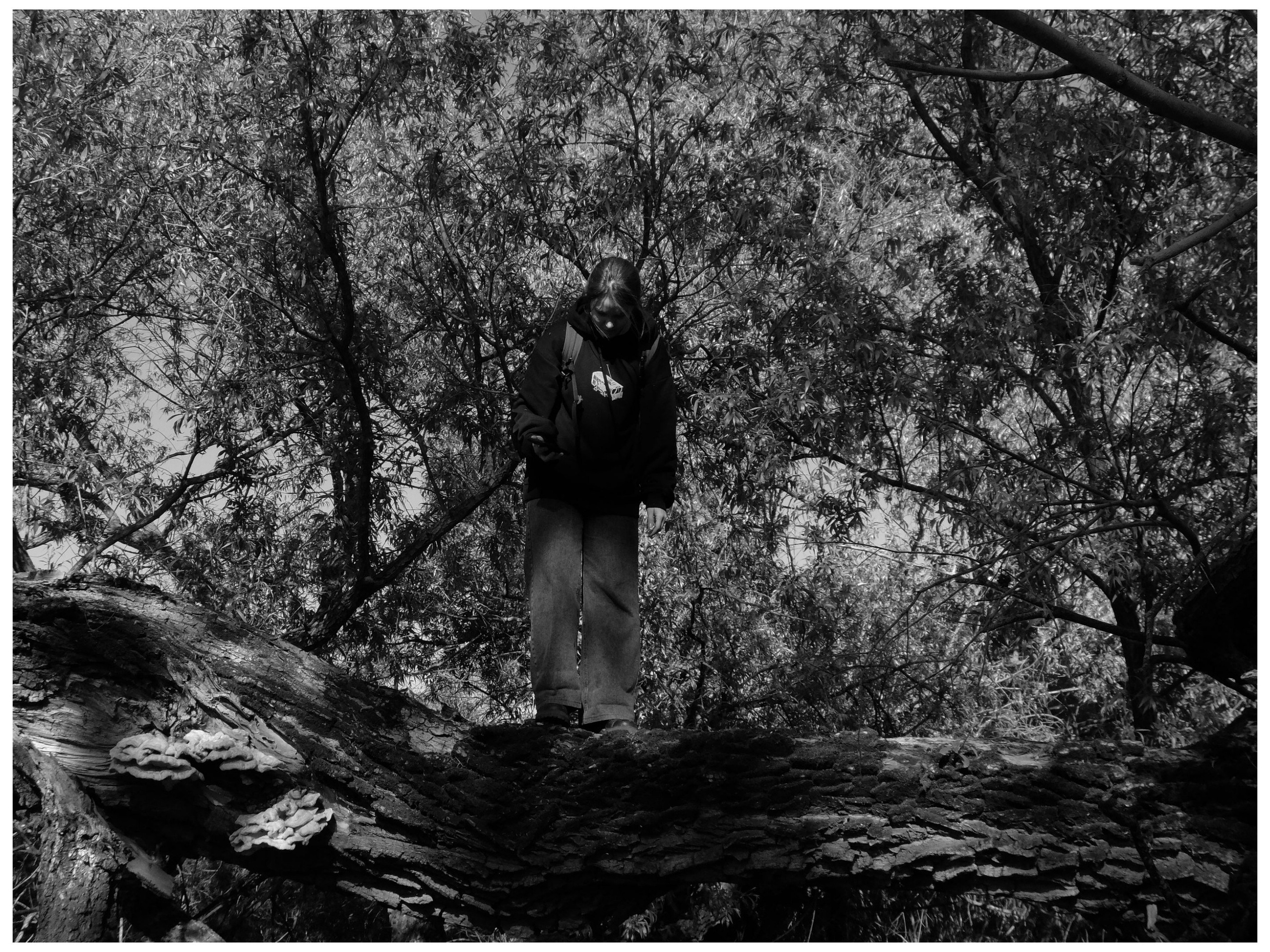 Промежуточные моменты (2022)