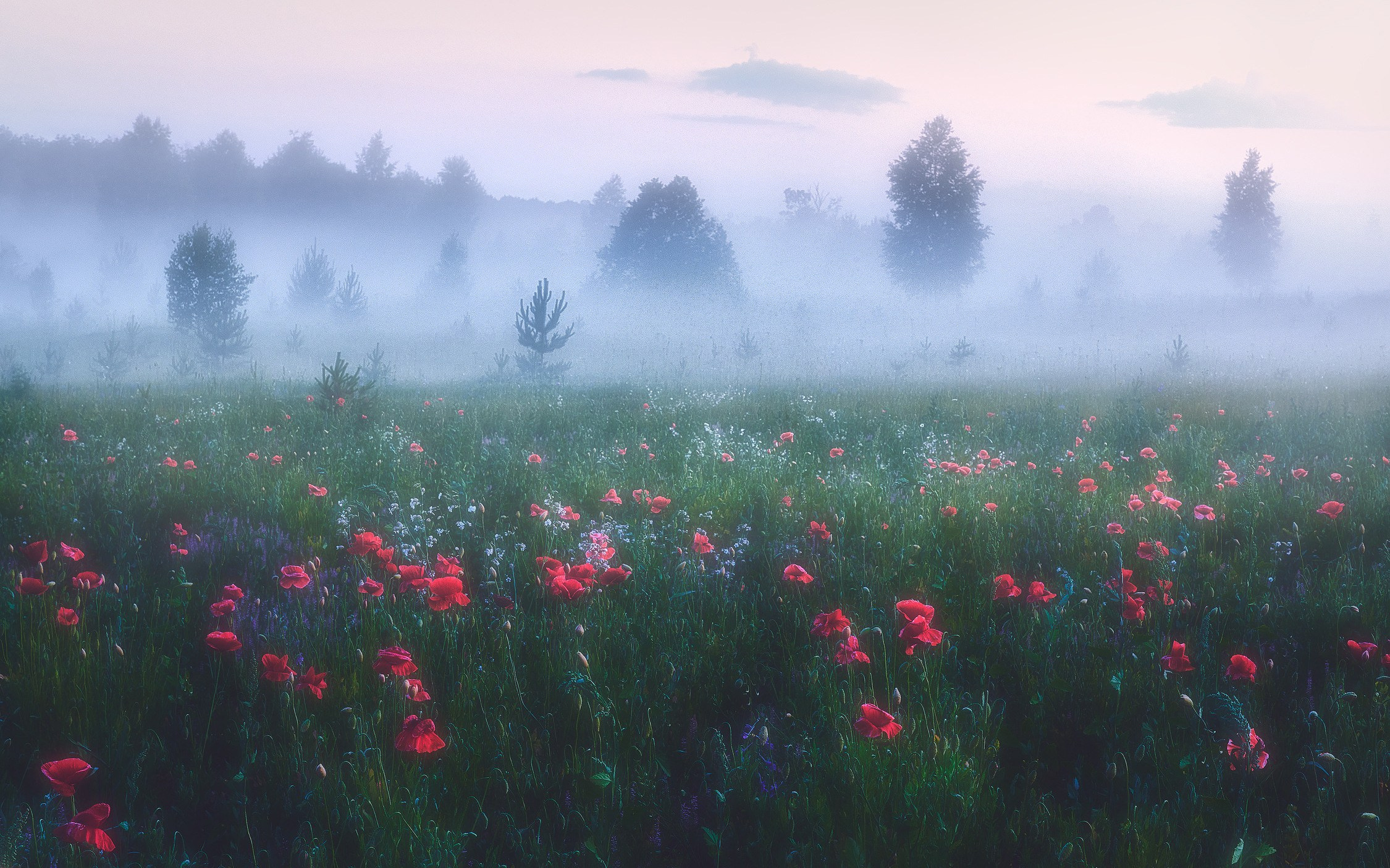 Красота природы. Фотограф Кононов Антон