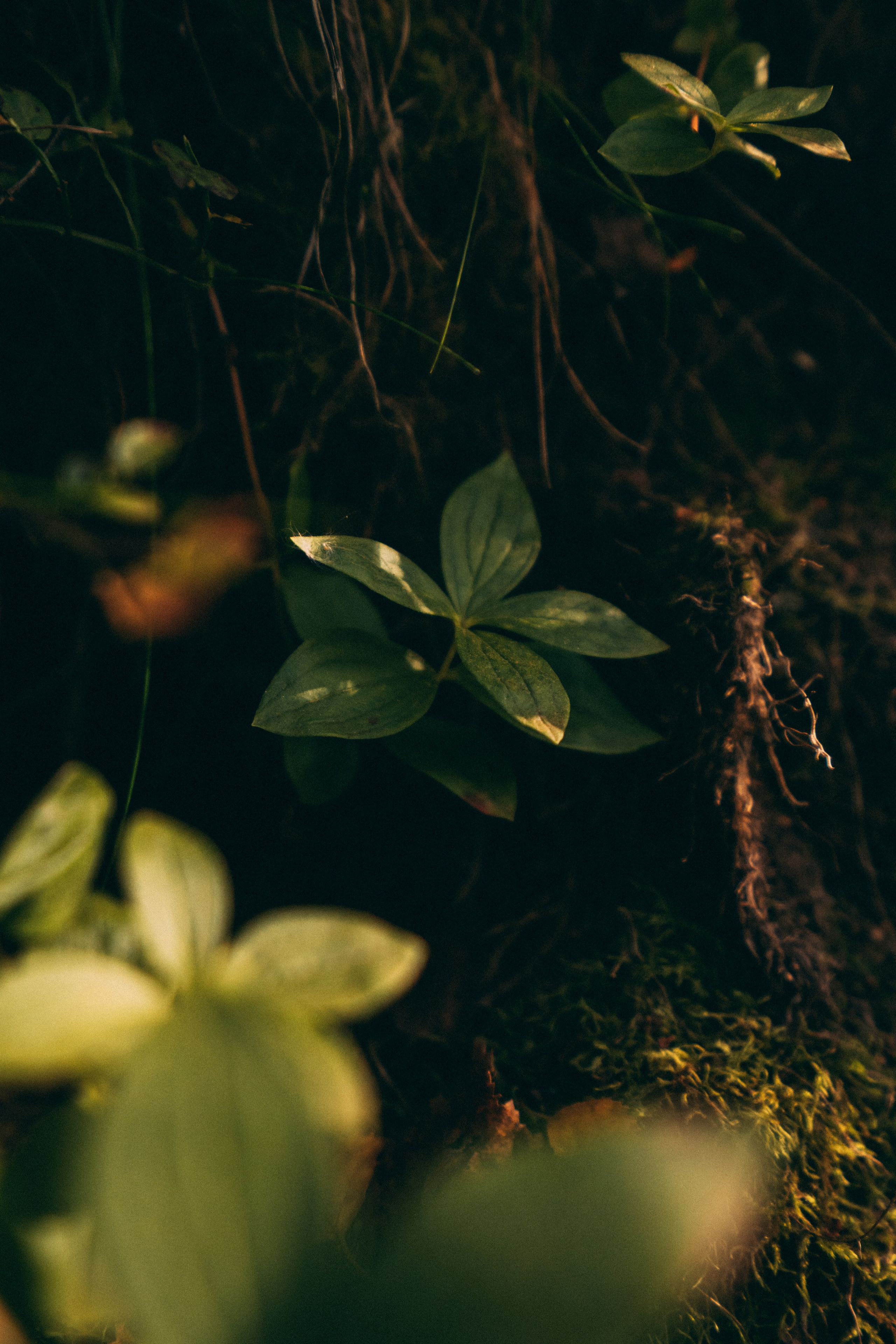 Мурманск. Фотограф Алиса Аспер