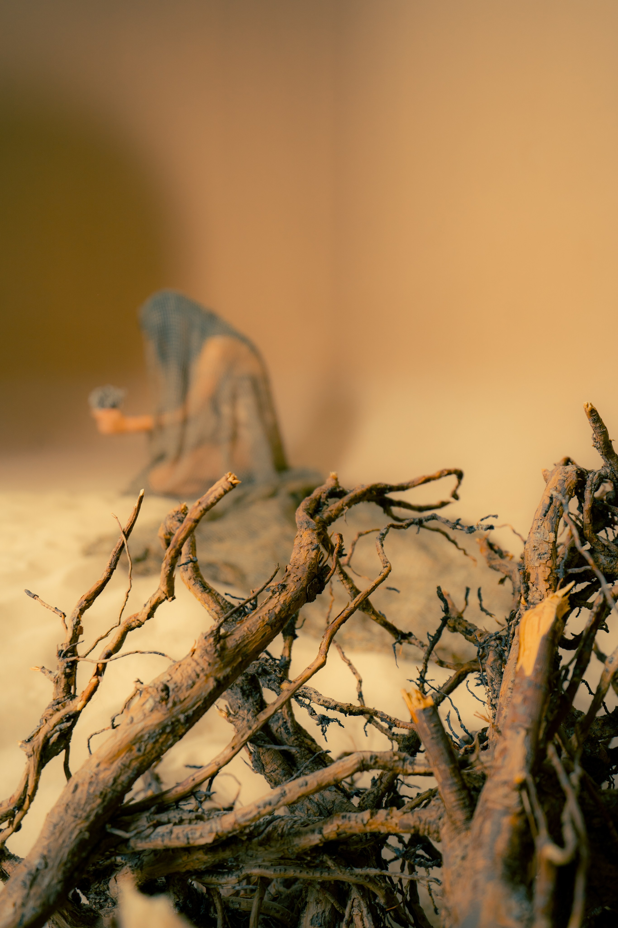 Ника. Фотограф Алиса Аспер