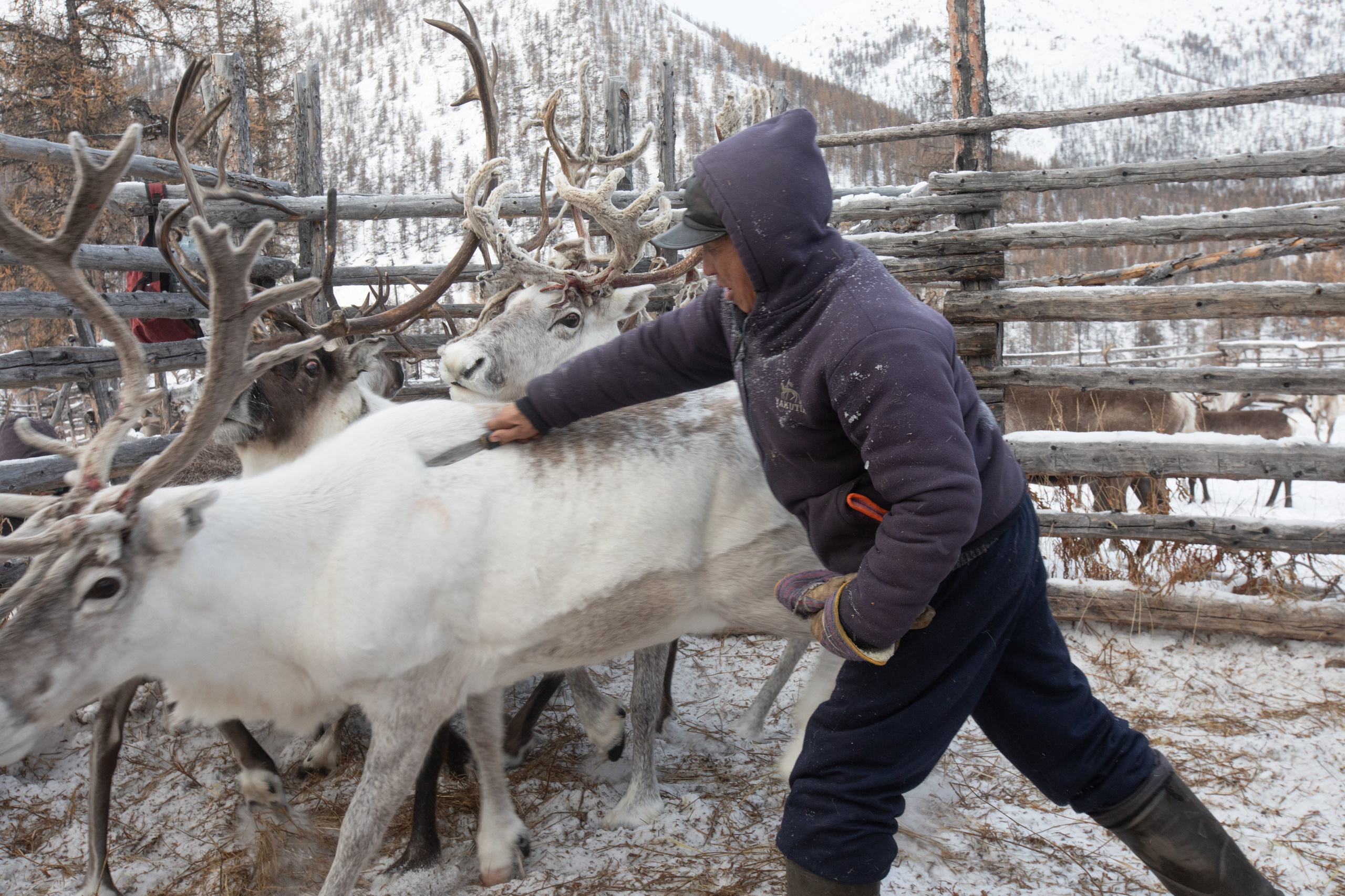 Не забудь накормить озеро. Natalya Madilyan