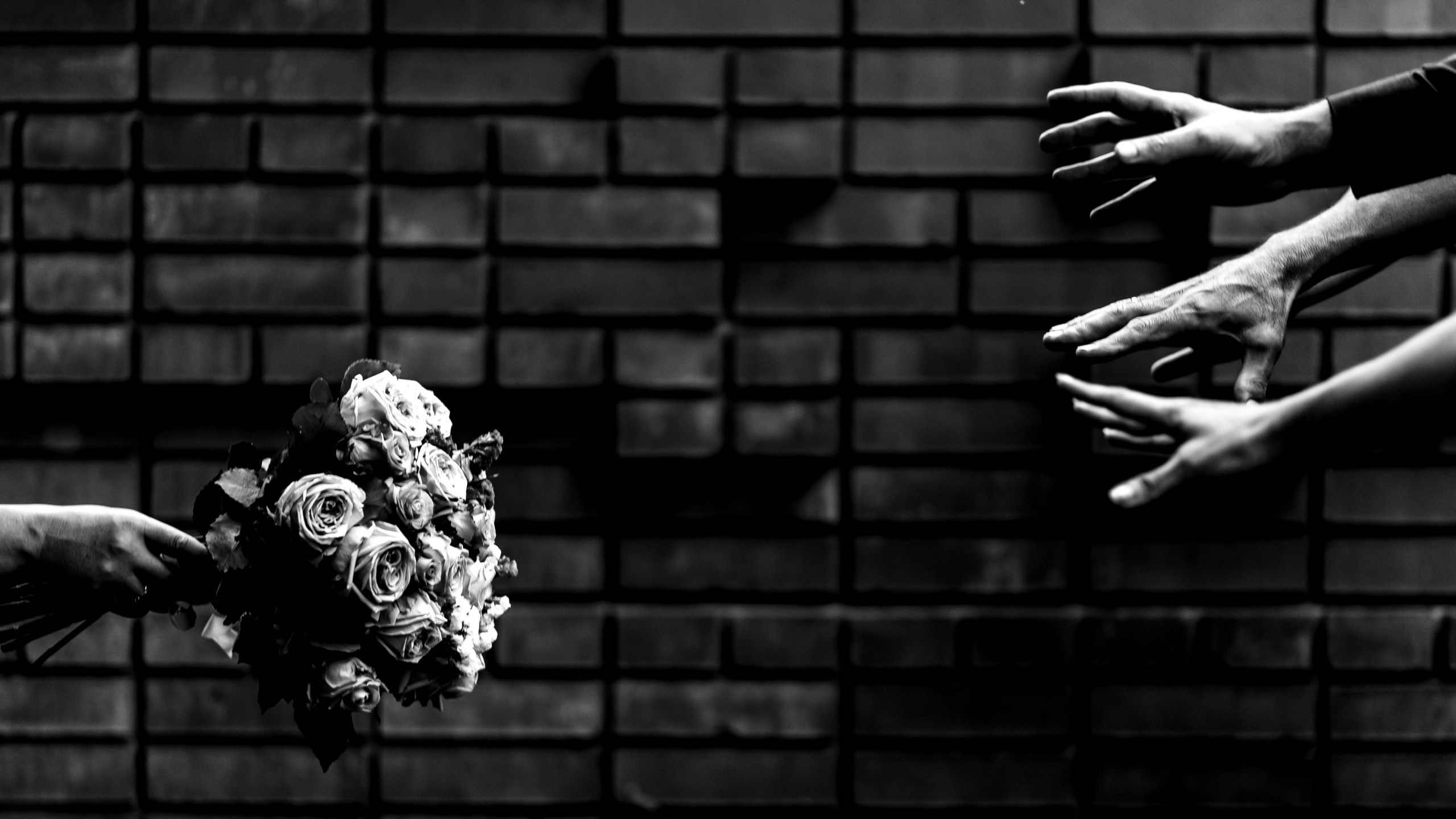 Свадебная съёмка. Фотограф Сергей Дружков (Воронеж / Липецк)