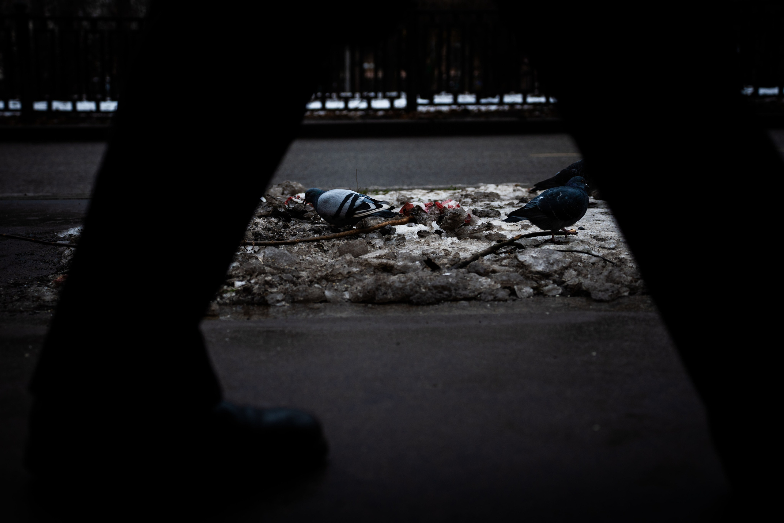 Стрит. Polypolarphotography
