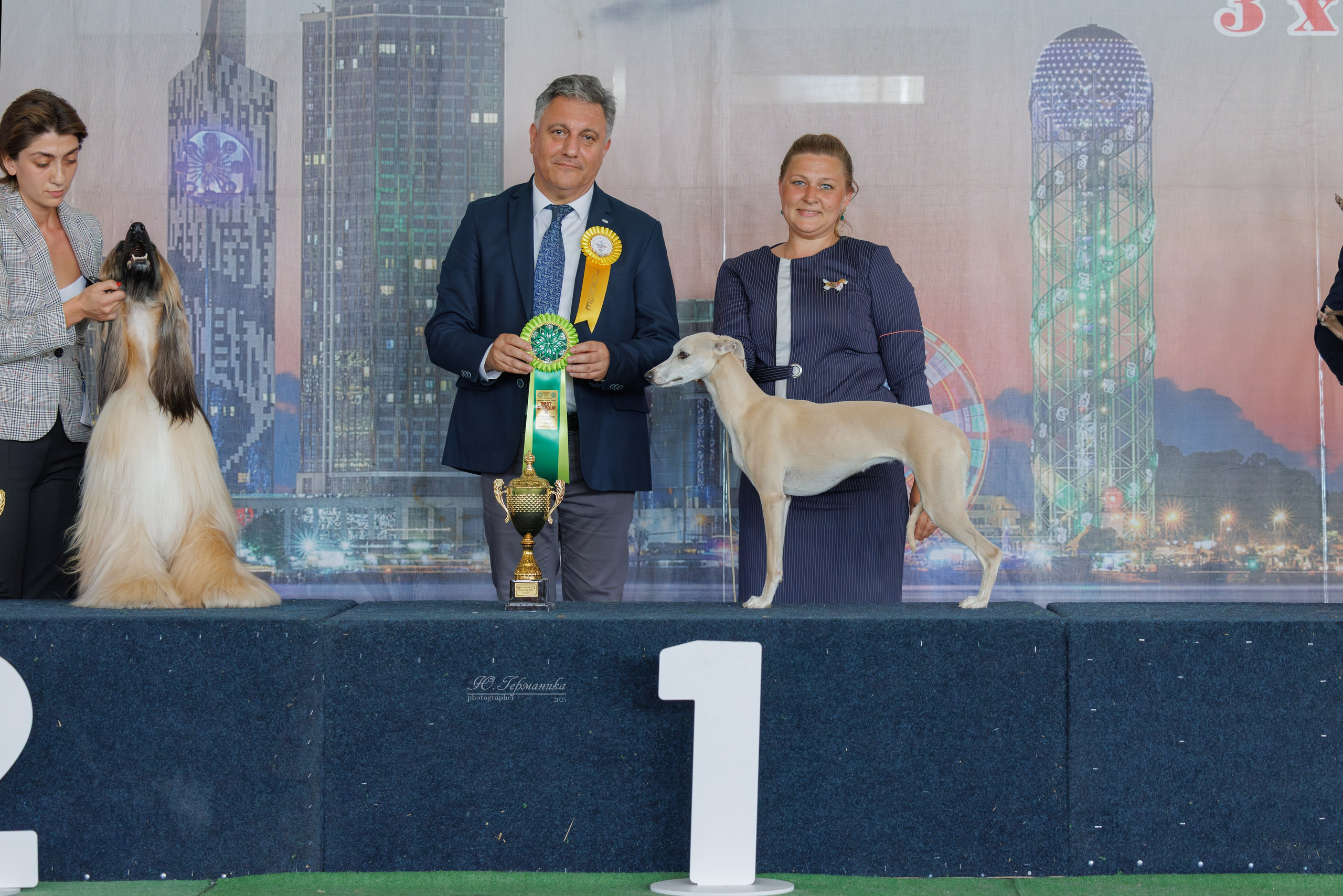 Батуми 3хCACIB 27-29.06.2025. Фотограф-анималист Юлия Германика