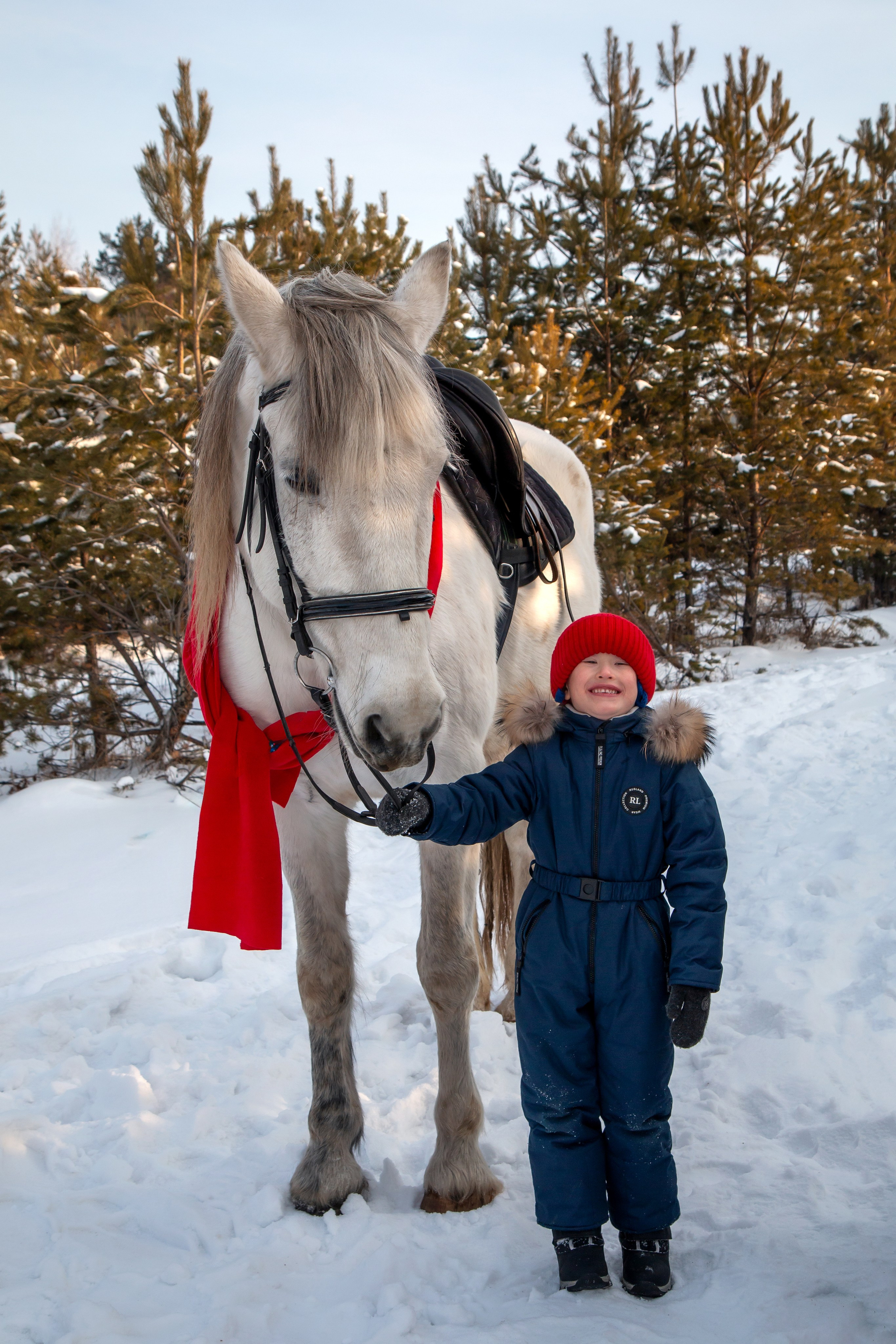 Анастасия с семьей. Участники «Новогоднего фотопроект с лошадью». Фотограф в Шелехове, лучшие выпускные альбомы в Шелехове