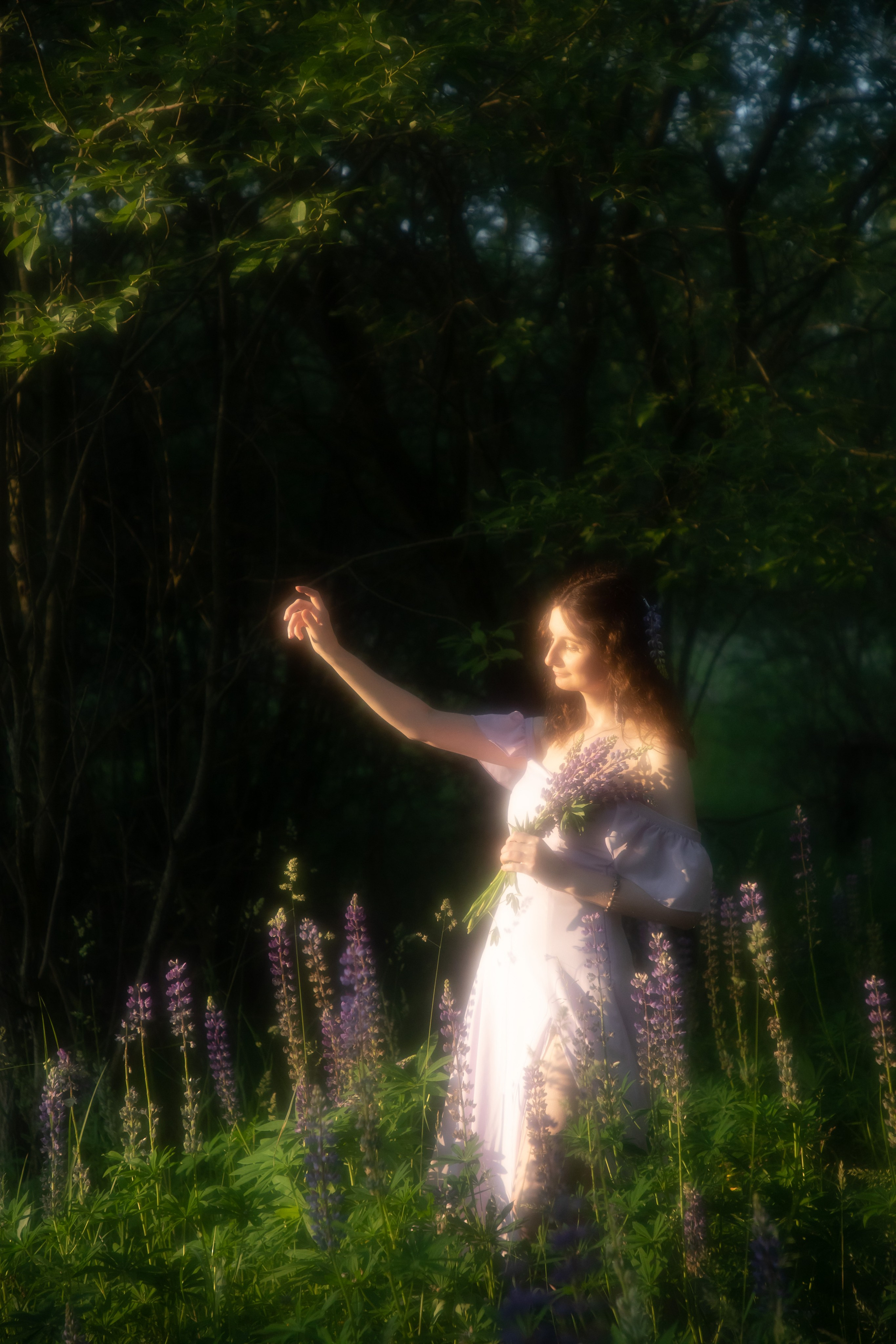 Люпиновое поле. Юлия Башкатова, сказочный фотограф, Москва