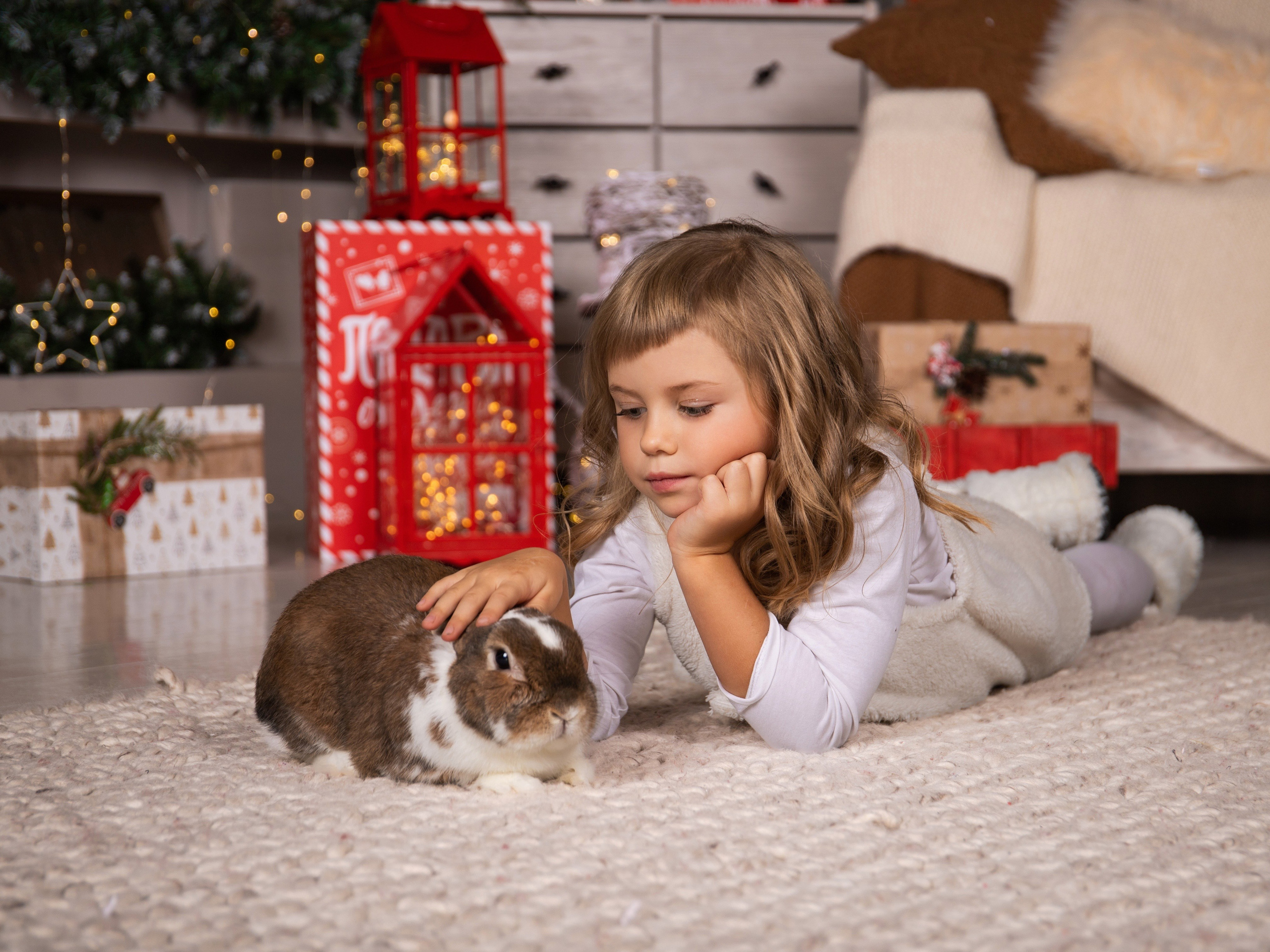 Новогодняя семейная съемка в студии. Свадебный и семейный фотограф в Москве Мила Широких