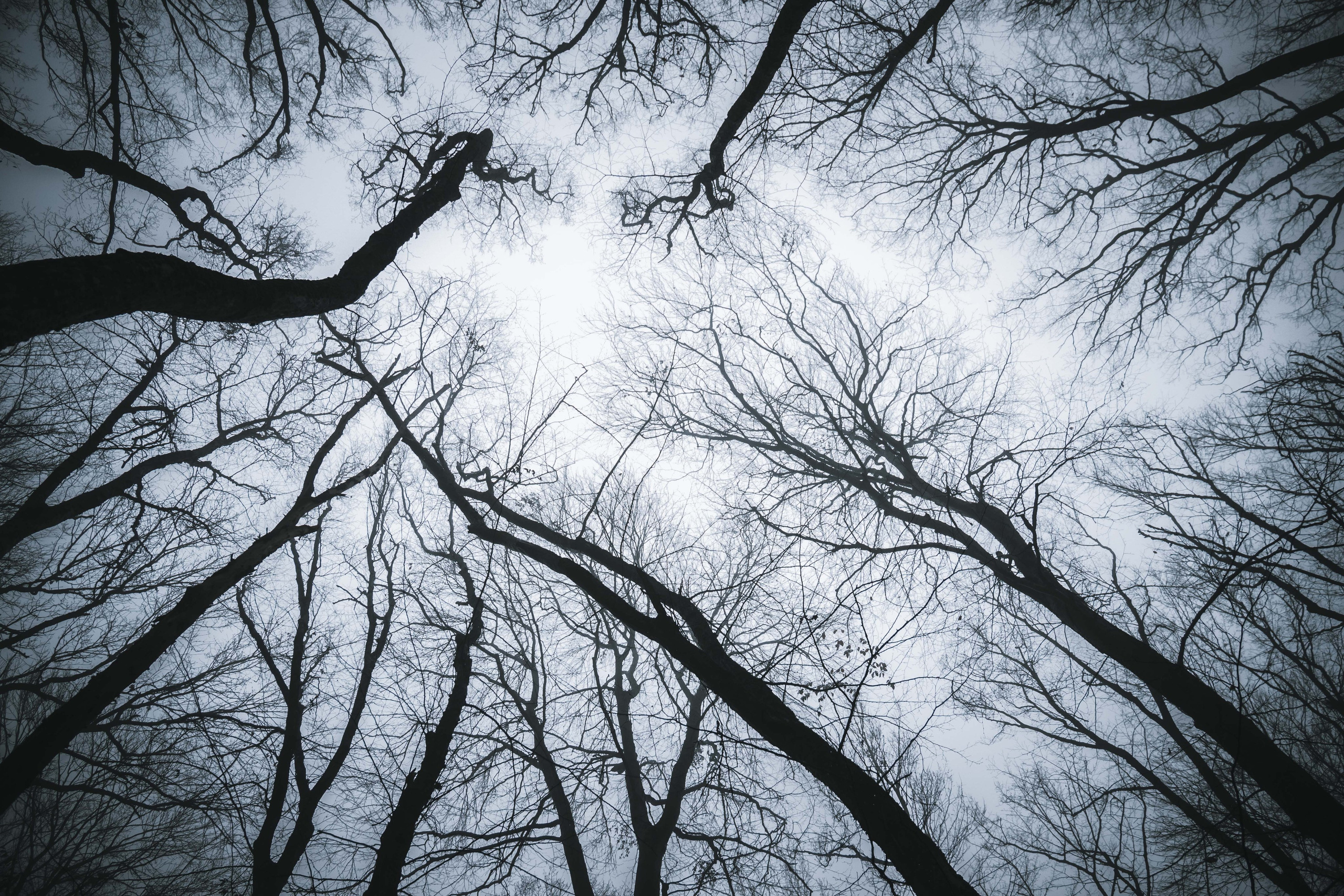 Анастасия. Портретный и репортажный фотограф в городе Ставрополь