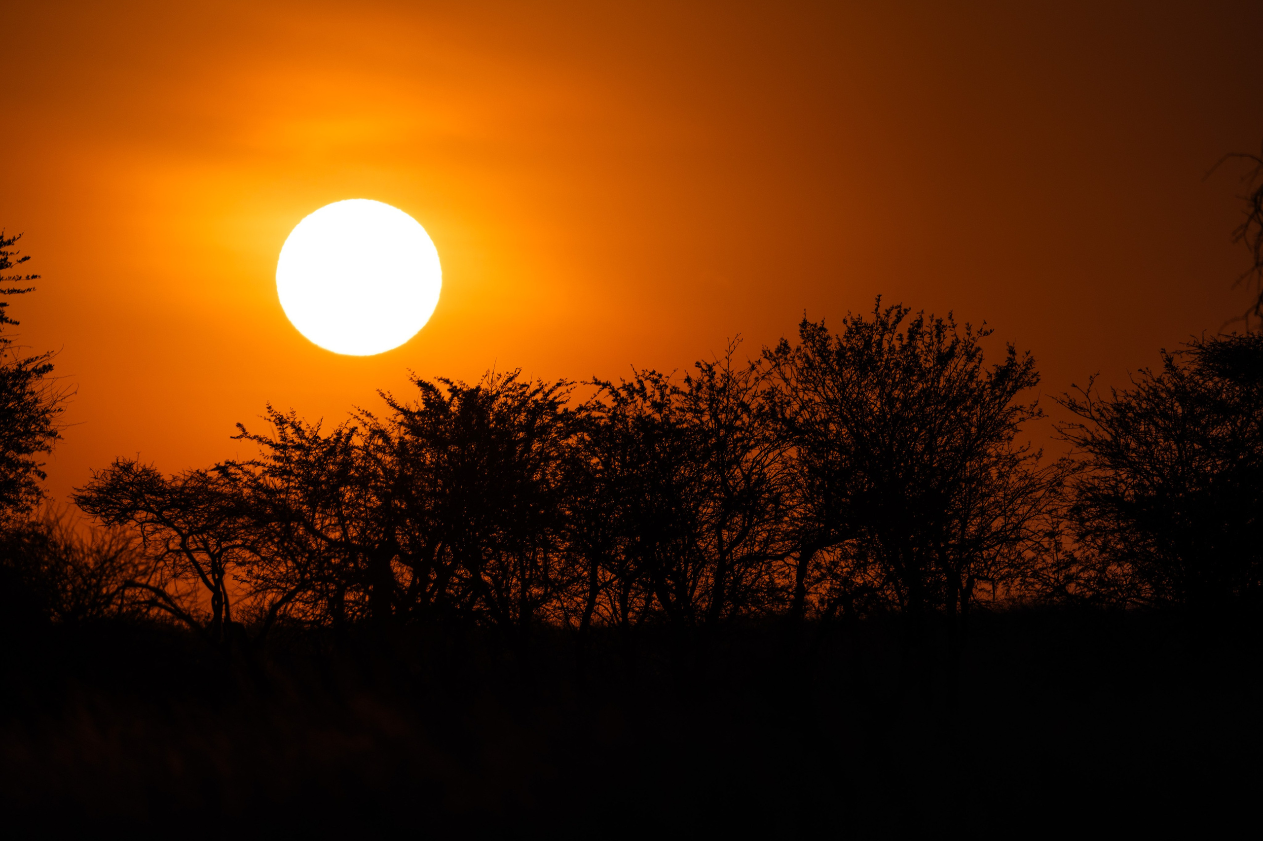 Танзания, сафари, 2025. Творческие сьемки