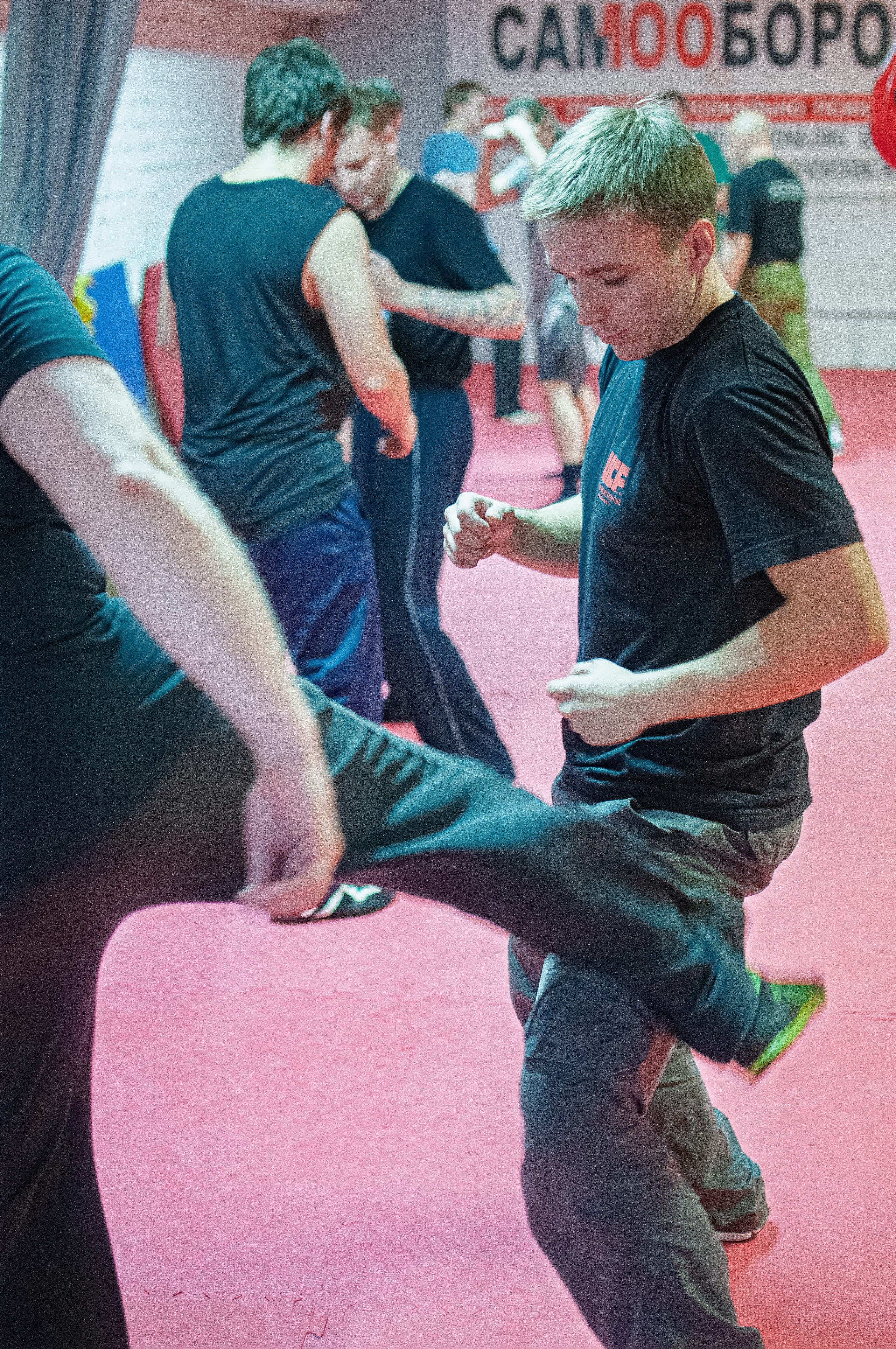 Семинар Валерия Крючкова по системе активной обороны «Стрела». Спортивная фотосъемка в Москве и Московской области — Спорт в Москве