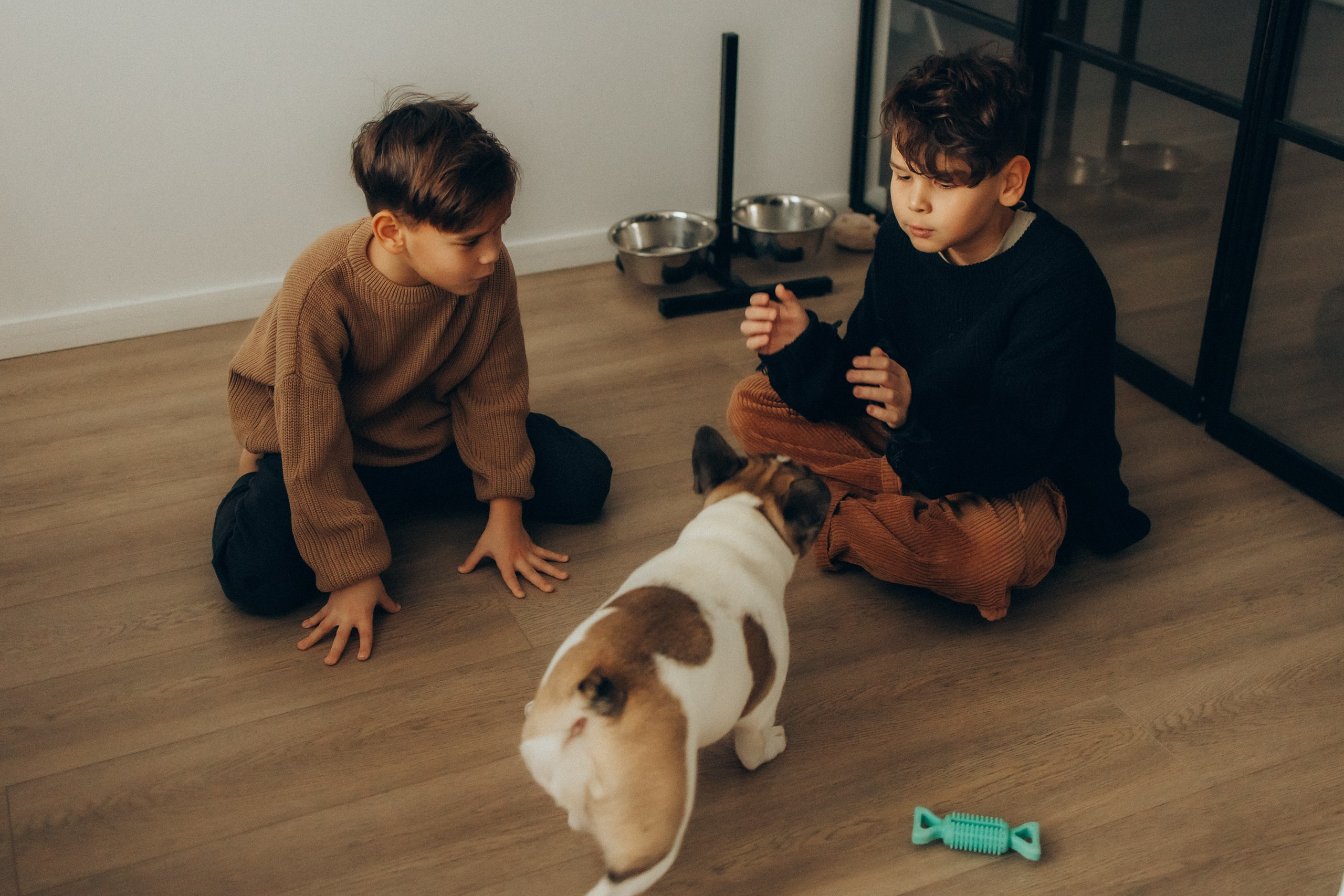 Руслан, Тимур и Луна. Семейный фотограф Москва