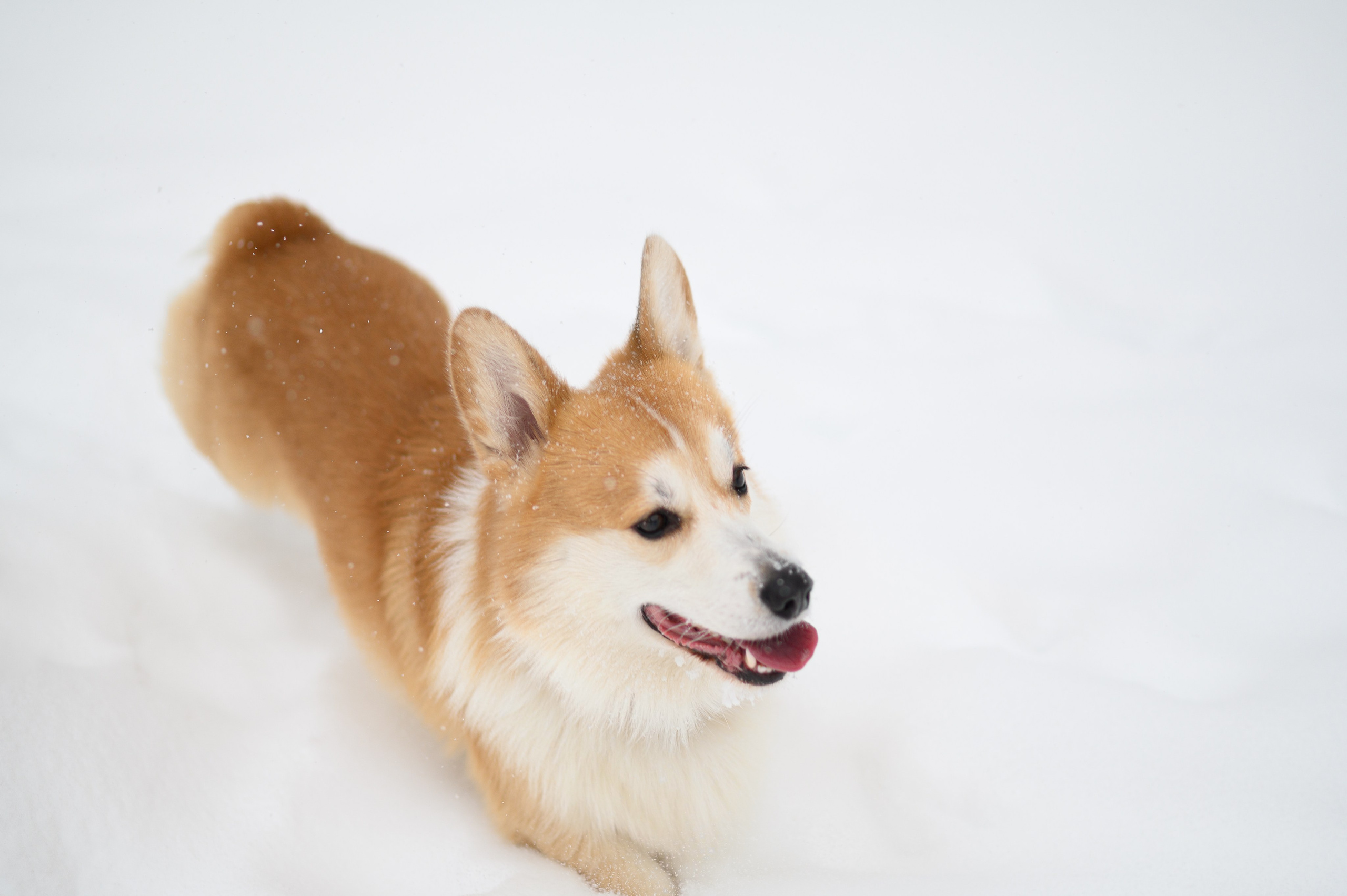 Акцент на живом. Фотограф в Москве Полина Старцева