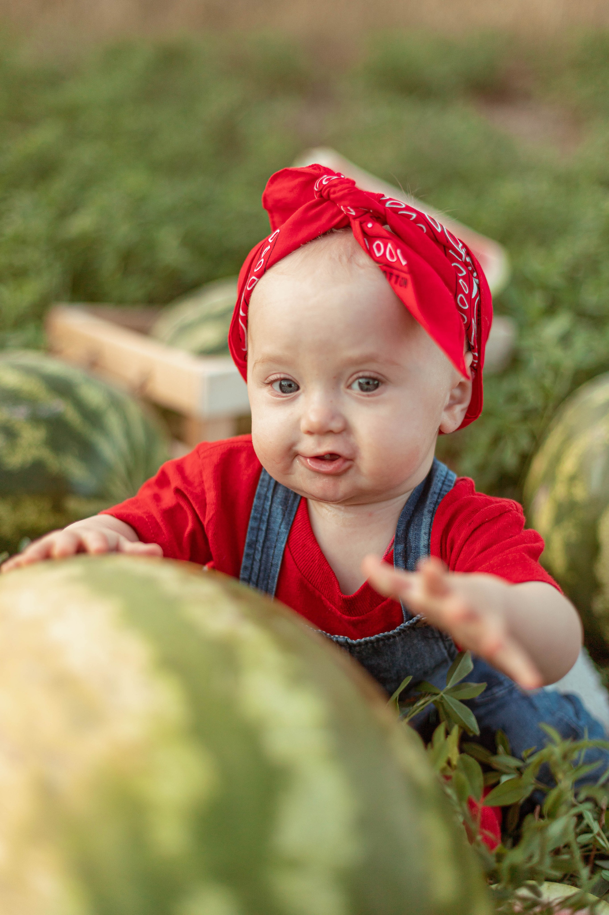АРБУЗЫ. Семейный и детский фотограф в Крыму Екатерина Швец