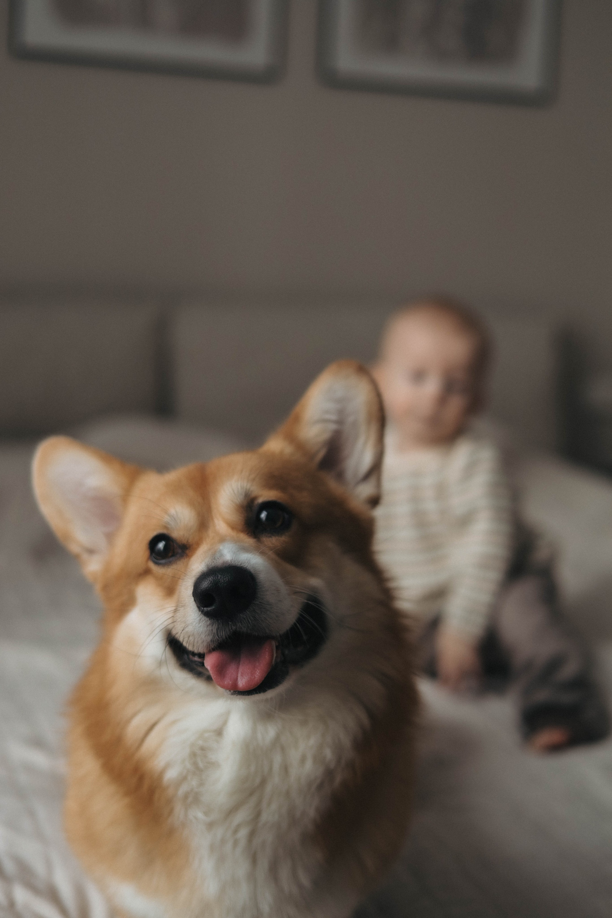 Валерия, Вова и Персик. Семейный фотограф в Москве Дарья Верещагина