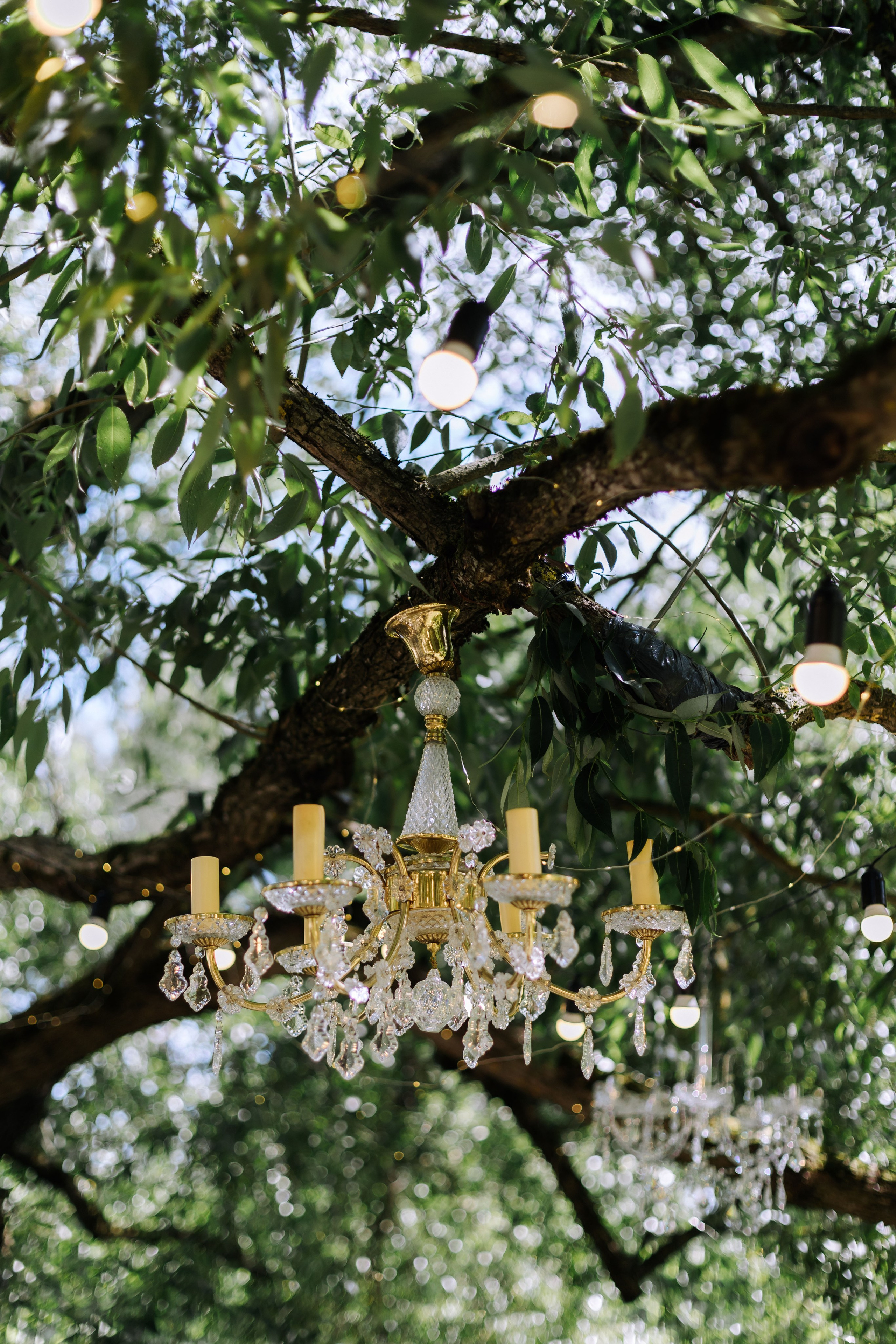 Dmitry & Diana. Главная