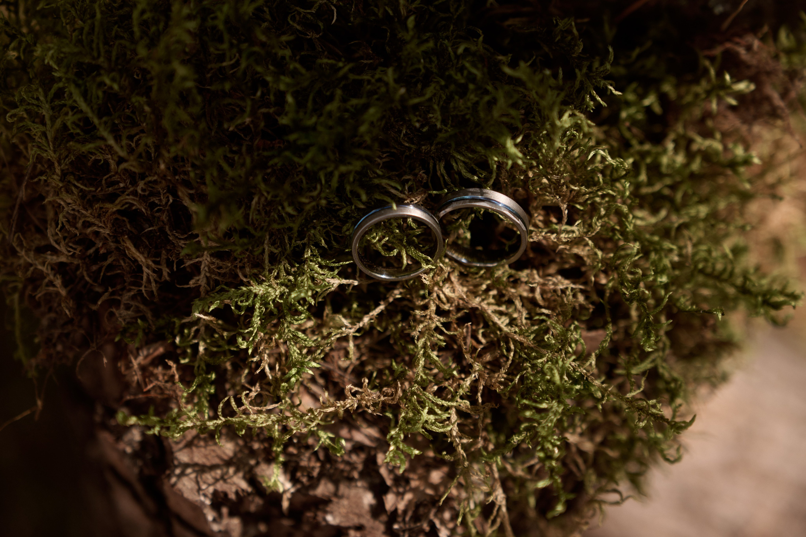 Свадьба Юры и Марии в русском стиле. Сергей Богомолов. Свадебный и семейный фотограф