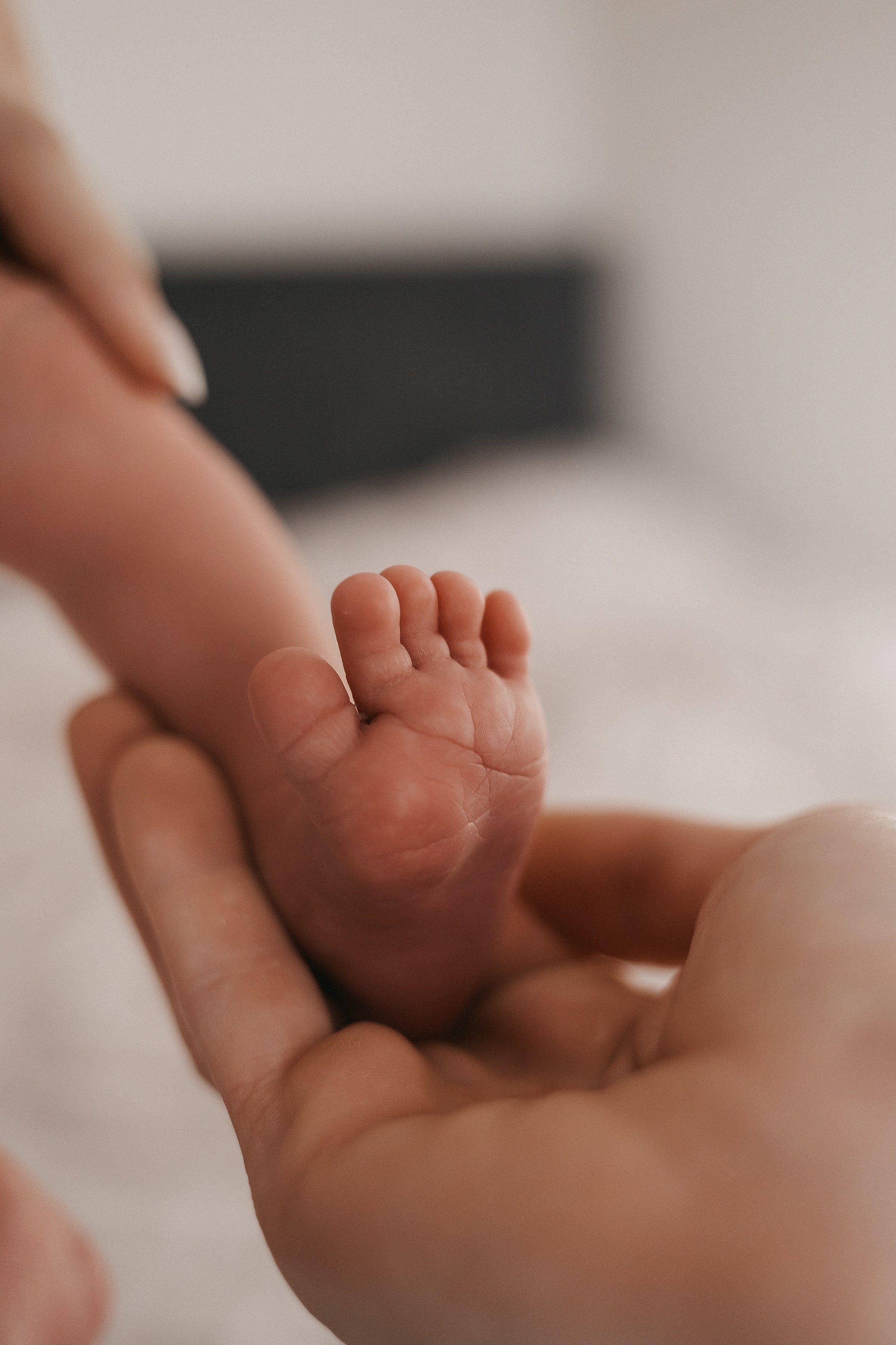 Паша/Катя/Алиса/Тимофей/Егор. Свадебный и семейный фотограф в Екатеринбурге