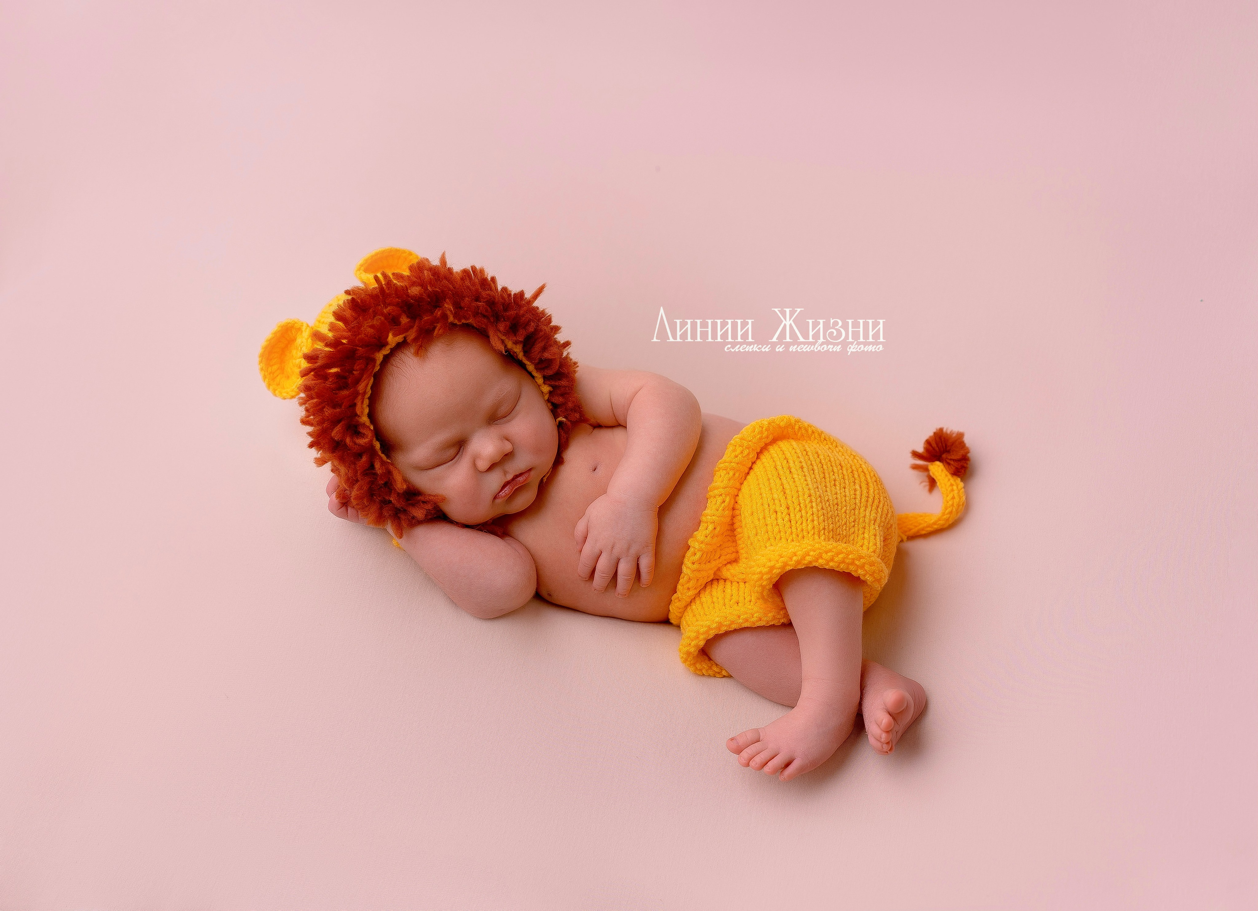 Лев 10 дней. Фотограф новорожденных в Нижнем Новгороде Сергеева Оксана