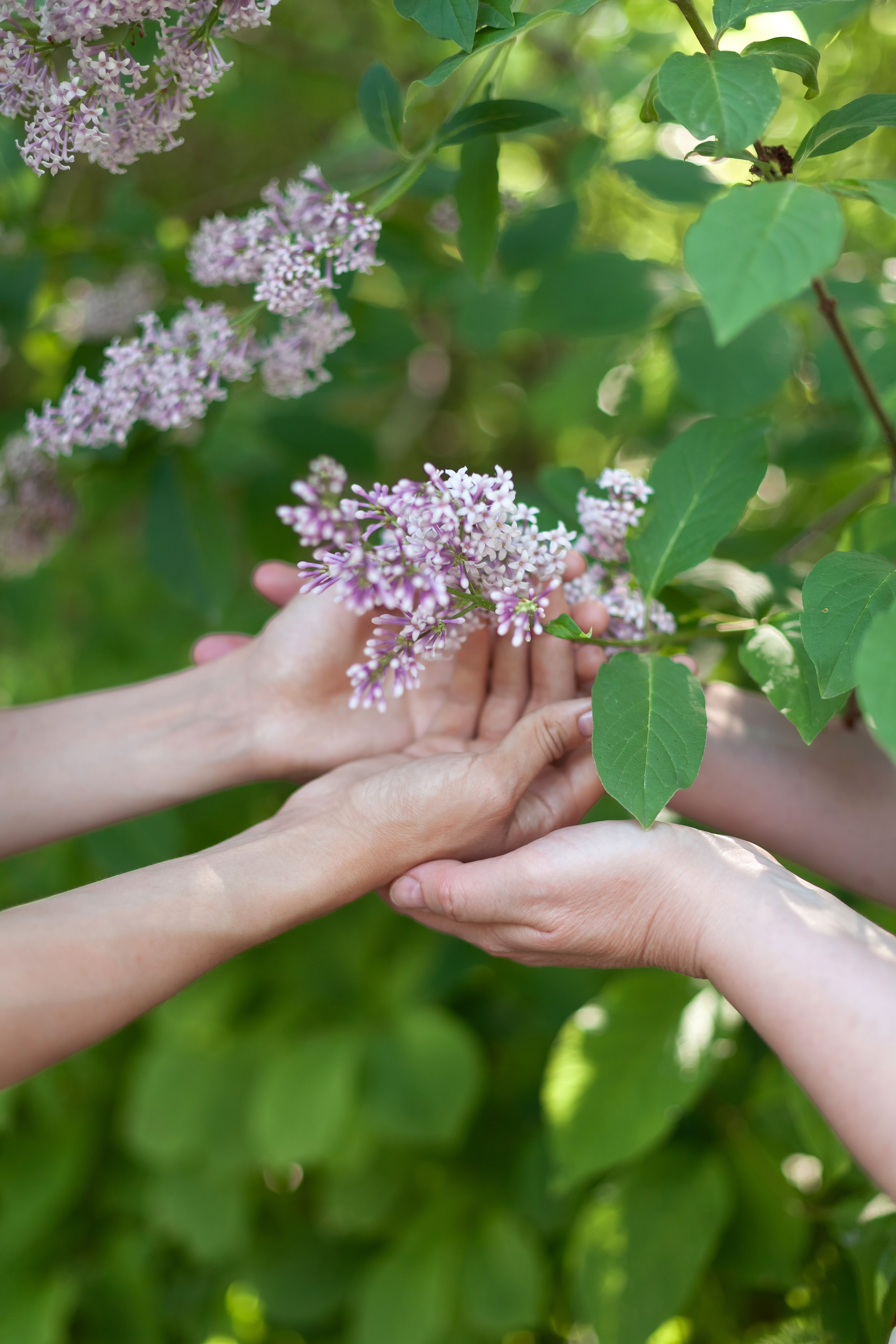 Цветок для мамы. Фотограф в Томске Евгения Гуляева