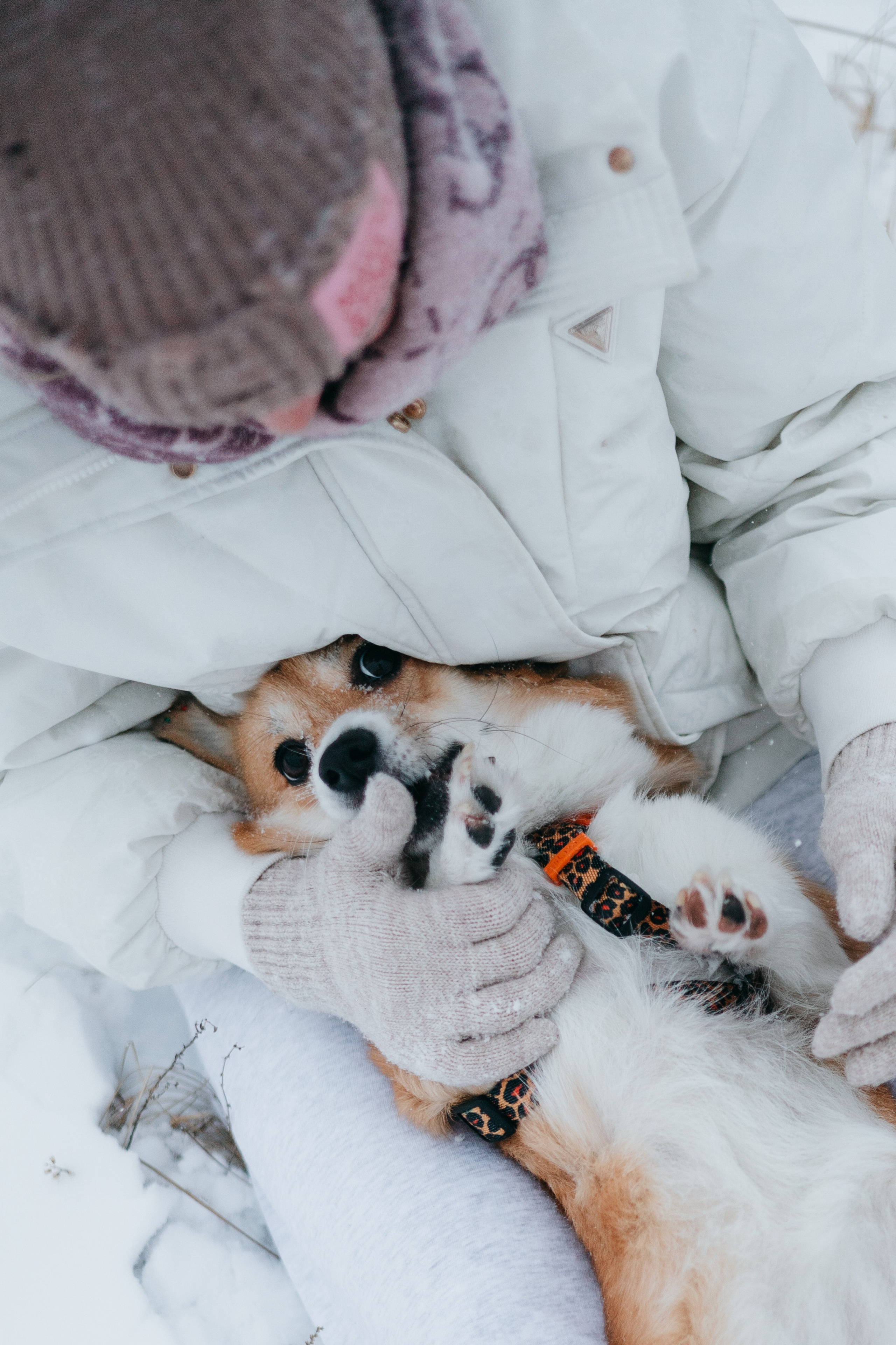 Лена, Лиза и Мия. Фотограф — анималист Владивосток, Алина