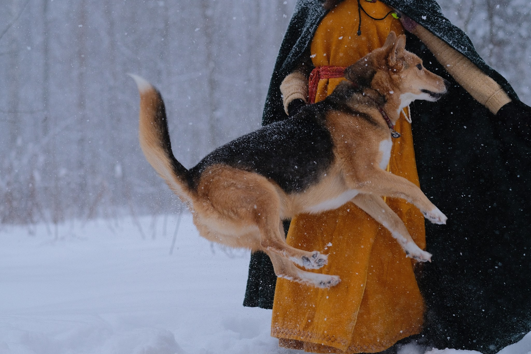 Герда, Лиса и их люди. Дмитрий Бречалов