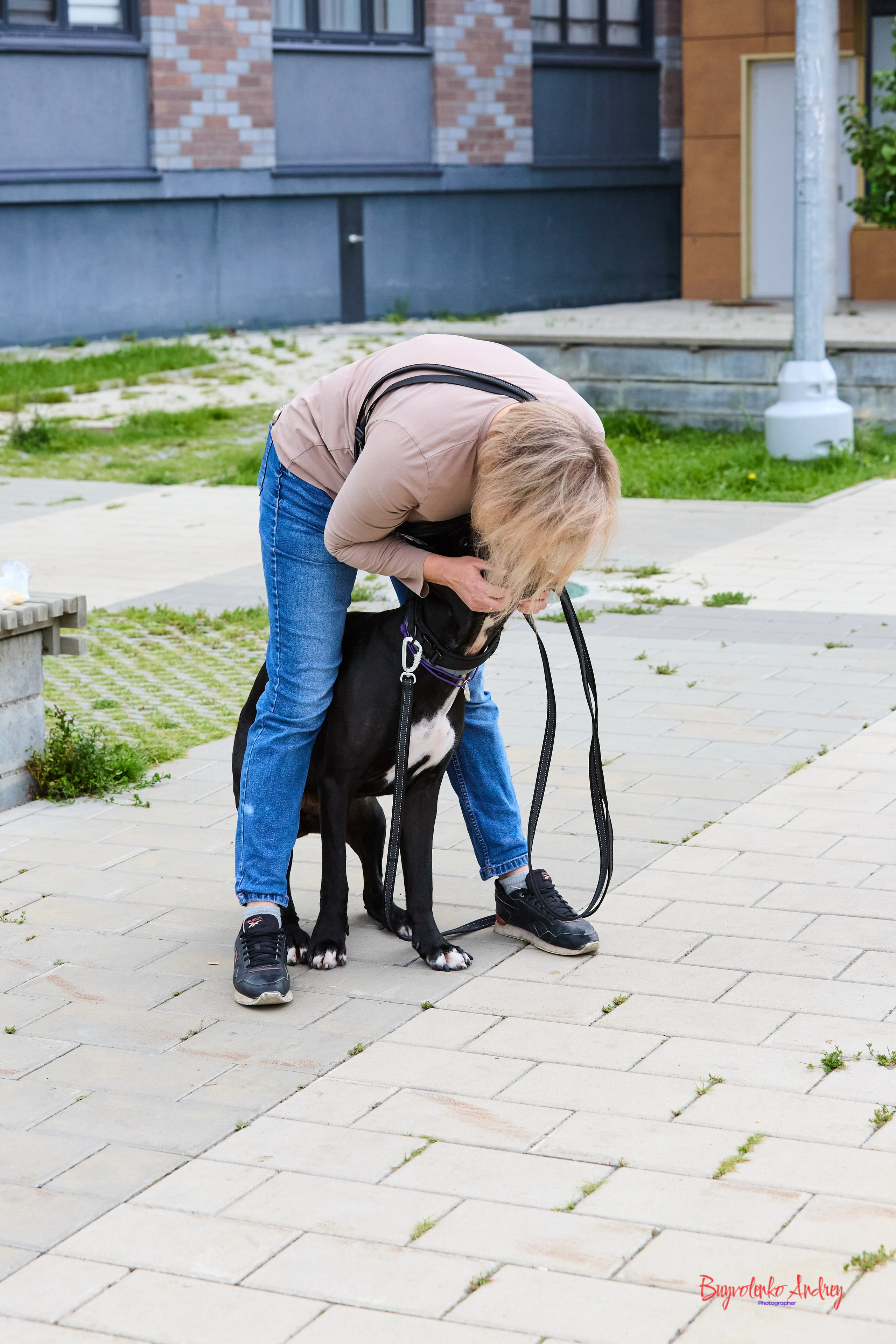Проект фотопрогулка с хвостиком. Buyvolenko Andrey