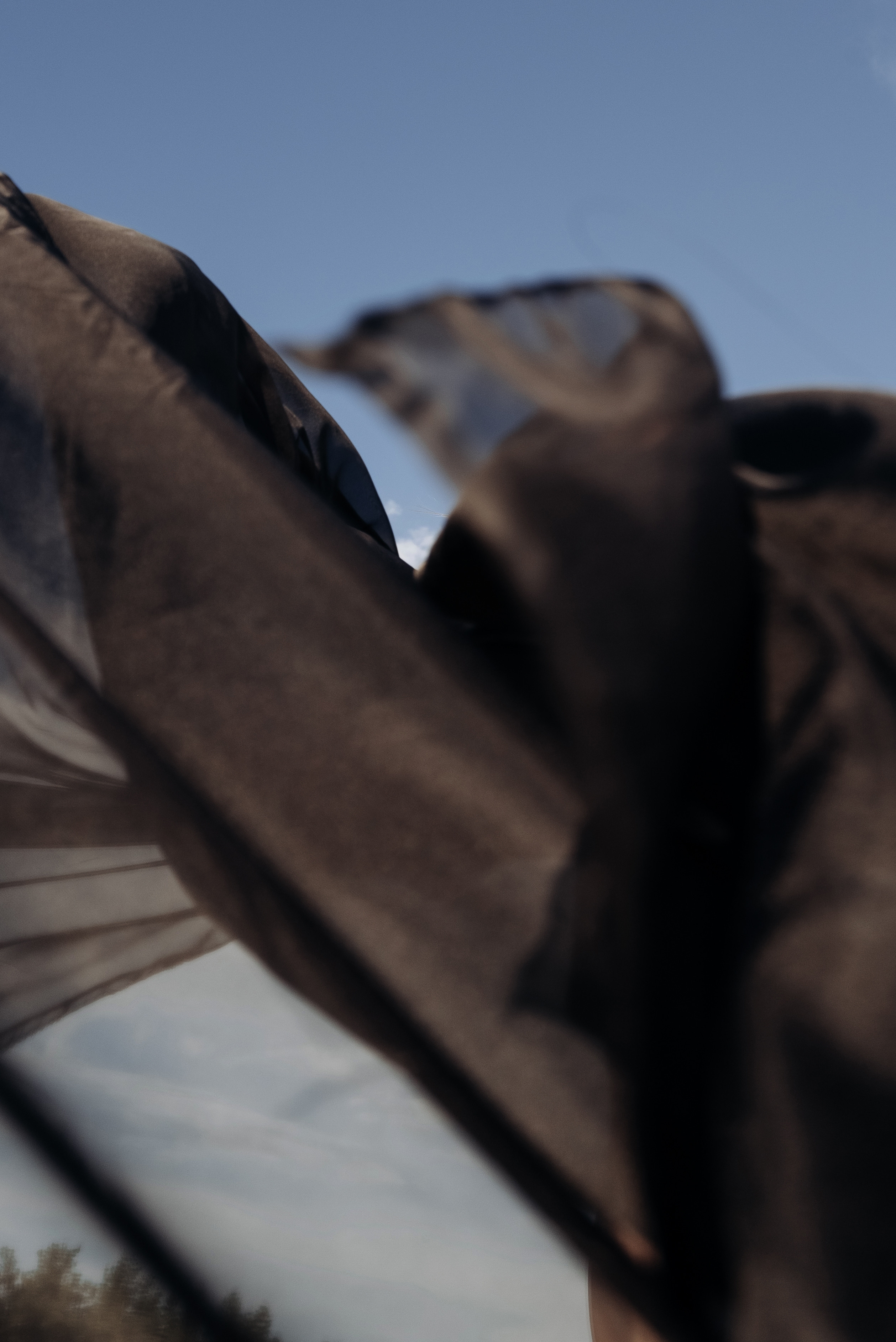 Алина. Фотограф Тверь. Анна Драго