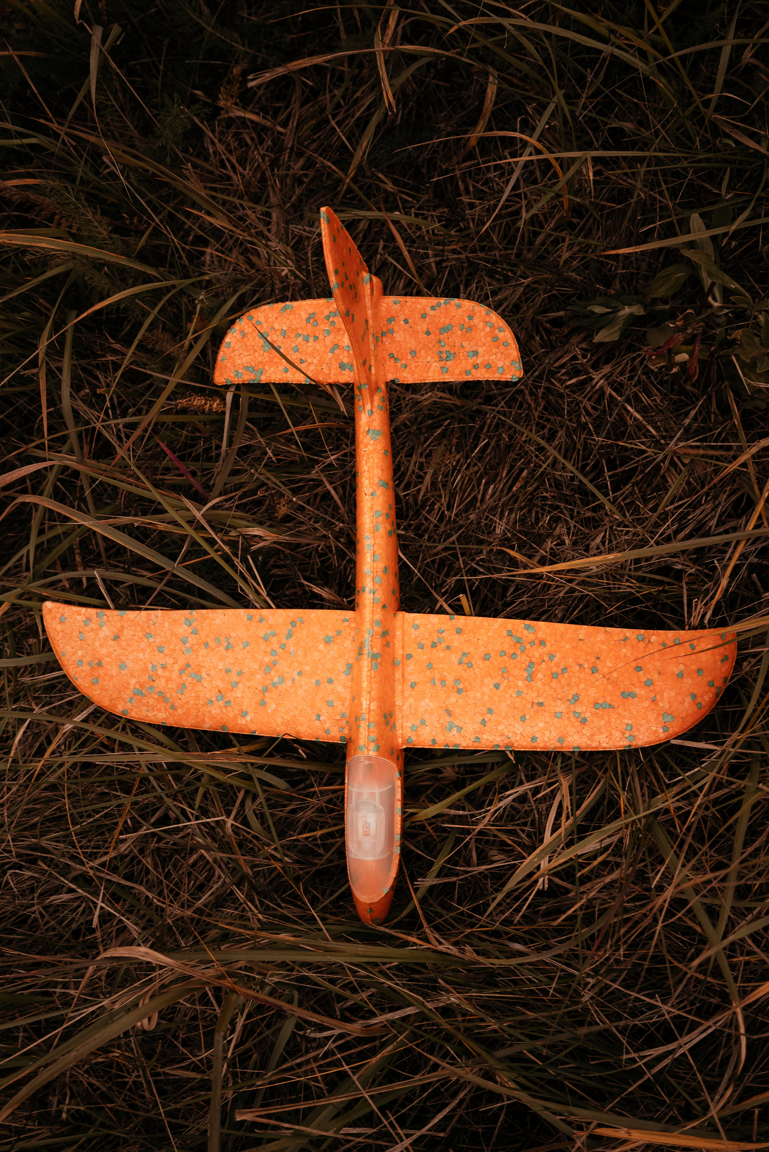 Оксана Илья Влад. Фотограф Тверь. Анна Драго