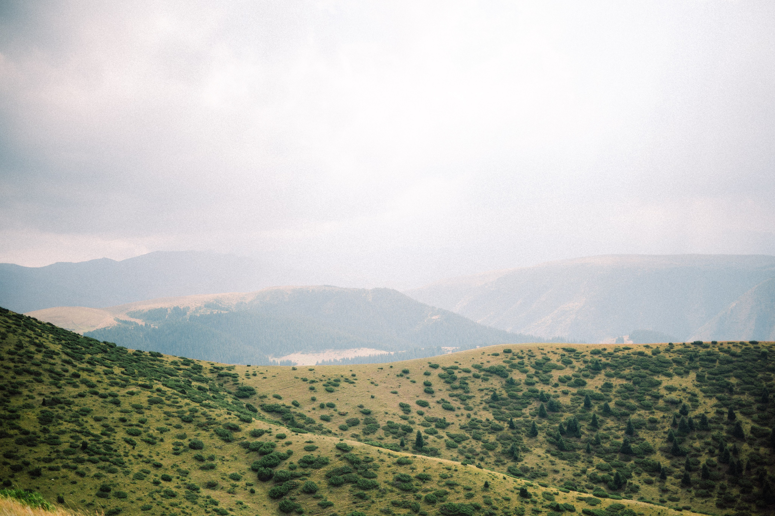 Плато Ассы: июль 2025. Фотограф в Алматы — Дарья Фёдорова