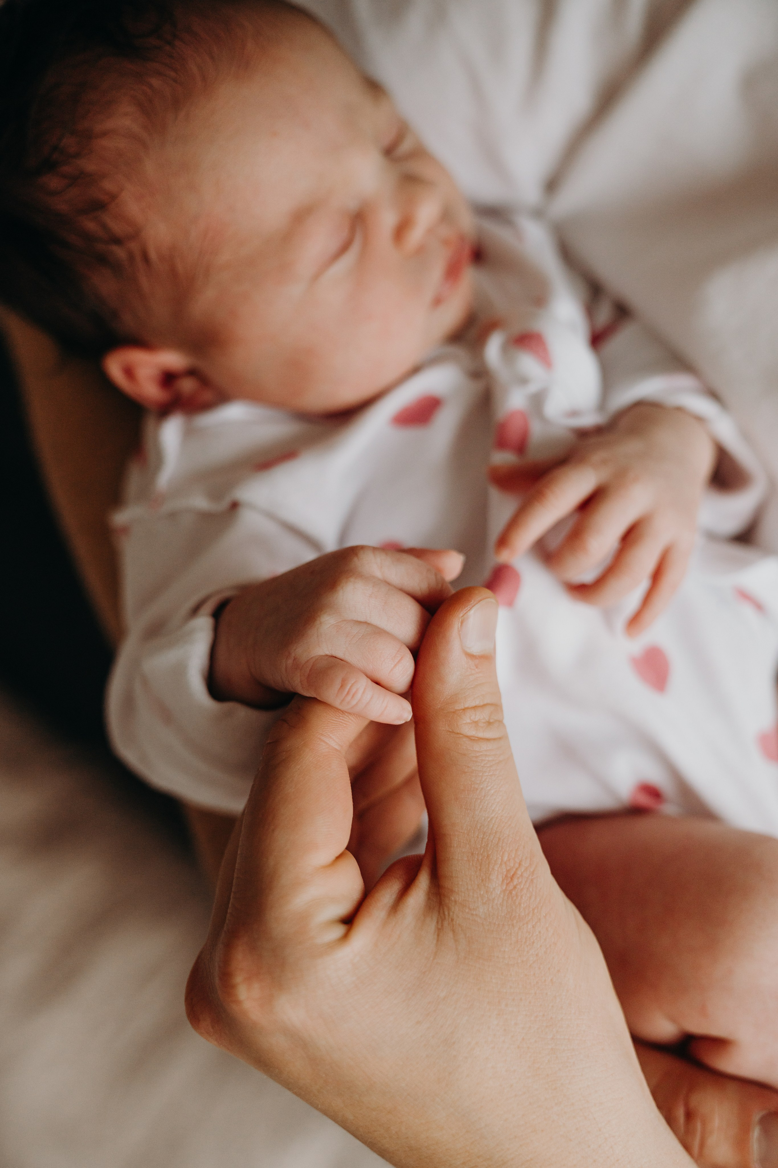 Дом там, где семья. Фотограф Алена Нормальная в Санкт-Петербурге