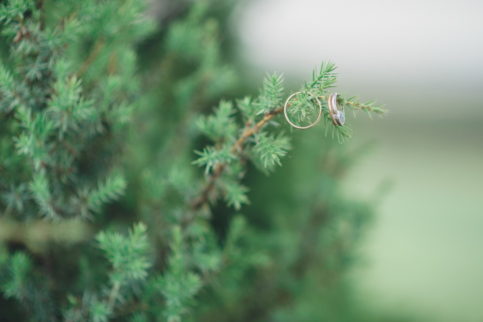 Кристина и Артур. Фотограф Павел Беляев