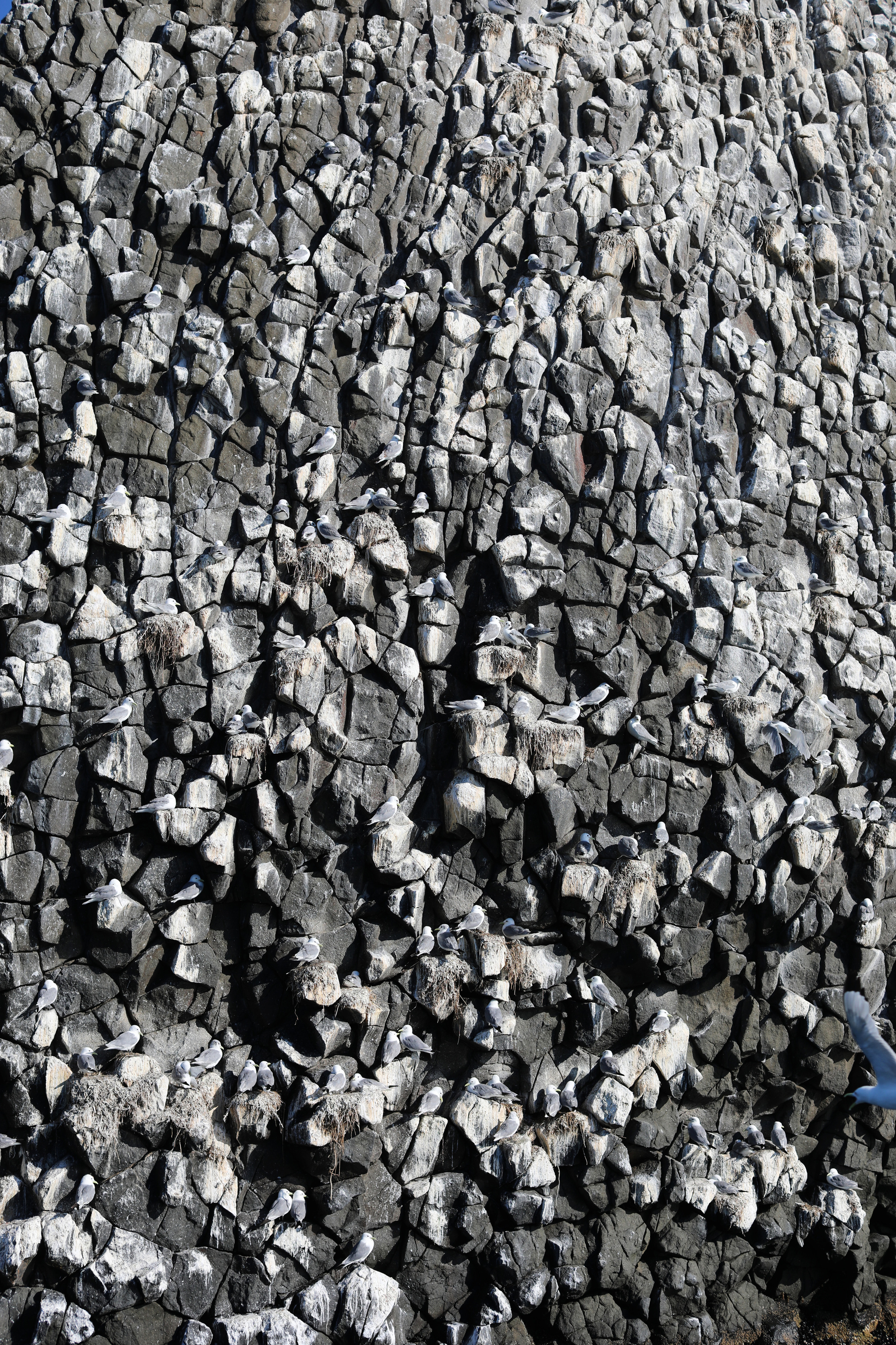 Камчатка. Океан. Репортажный и портретный фотограф Русакова Жанна